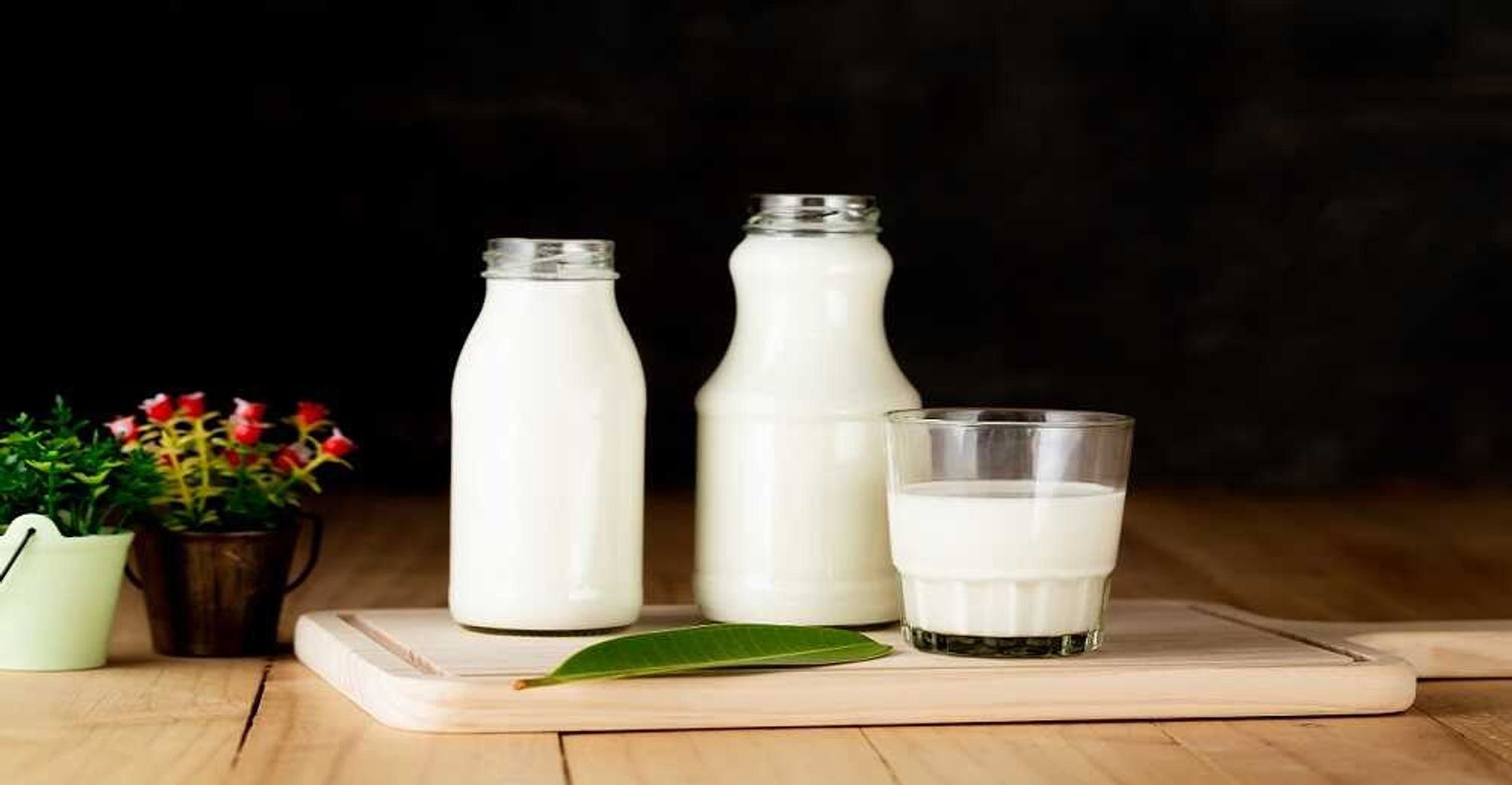 dairy packaging market