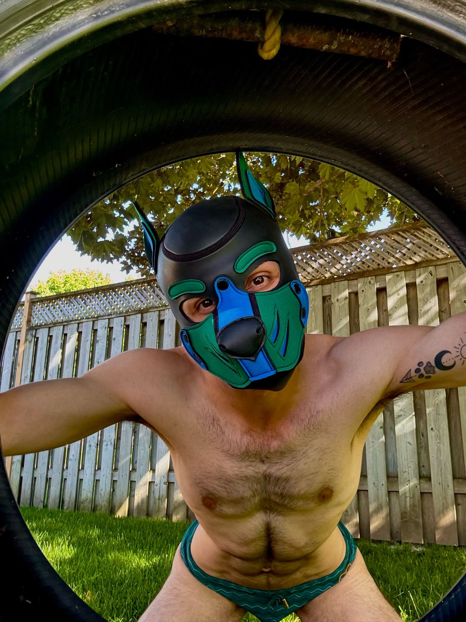 Pup Olaris arms stretched out looking through a tireswing.  Abs abing. Wooden fence in background, green grass. Tanned body.