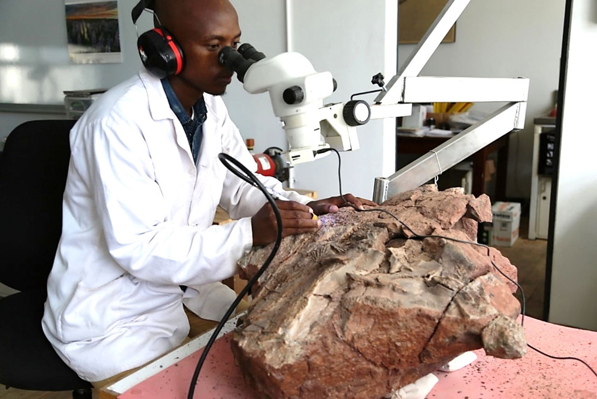 "Sibusiso Mtungata in Iziko Karoo Palaeontology Laboratory, using an air scribe to remove the surrounding rock and expose the fossil skull bones to sunlight for the first time since they were buried 280million years ago. Image credit: Roger Smith"