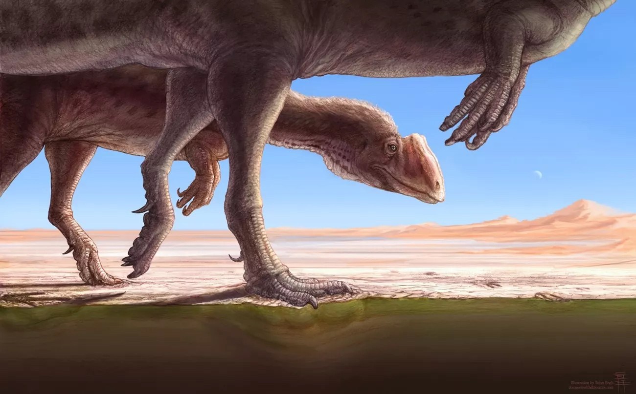 View of two theropods walking along what looks like a very dry landscape above ground. Underground looks a little different. It shows the impact of their feet on the sediment below.