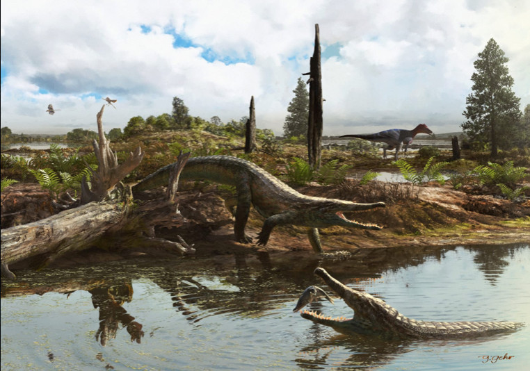 Artistic reconstruction of the new crocodyliforme in a river or wetland setting. One animal is walking into the river with its mouth open near a fallen tree; another animal is in the river--its mouth wide open to enable a bird to sit on its lower jaw and perhaps to help clean its teeth (like today's plover).  There is a theropod in the background and some trees.