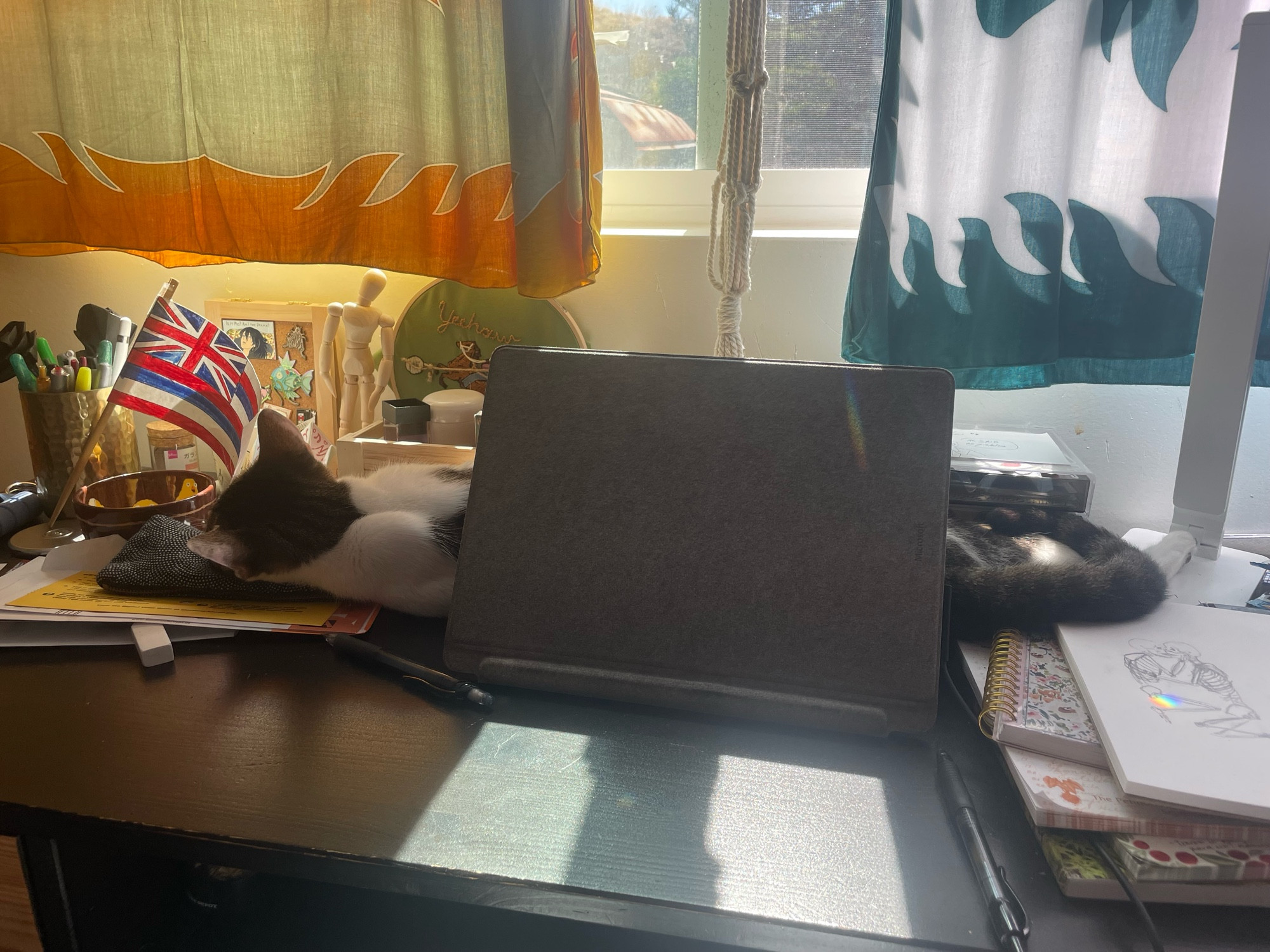 A grey and white tabby cat sprawled out on a desk and on all the things behind a laptop 