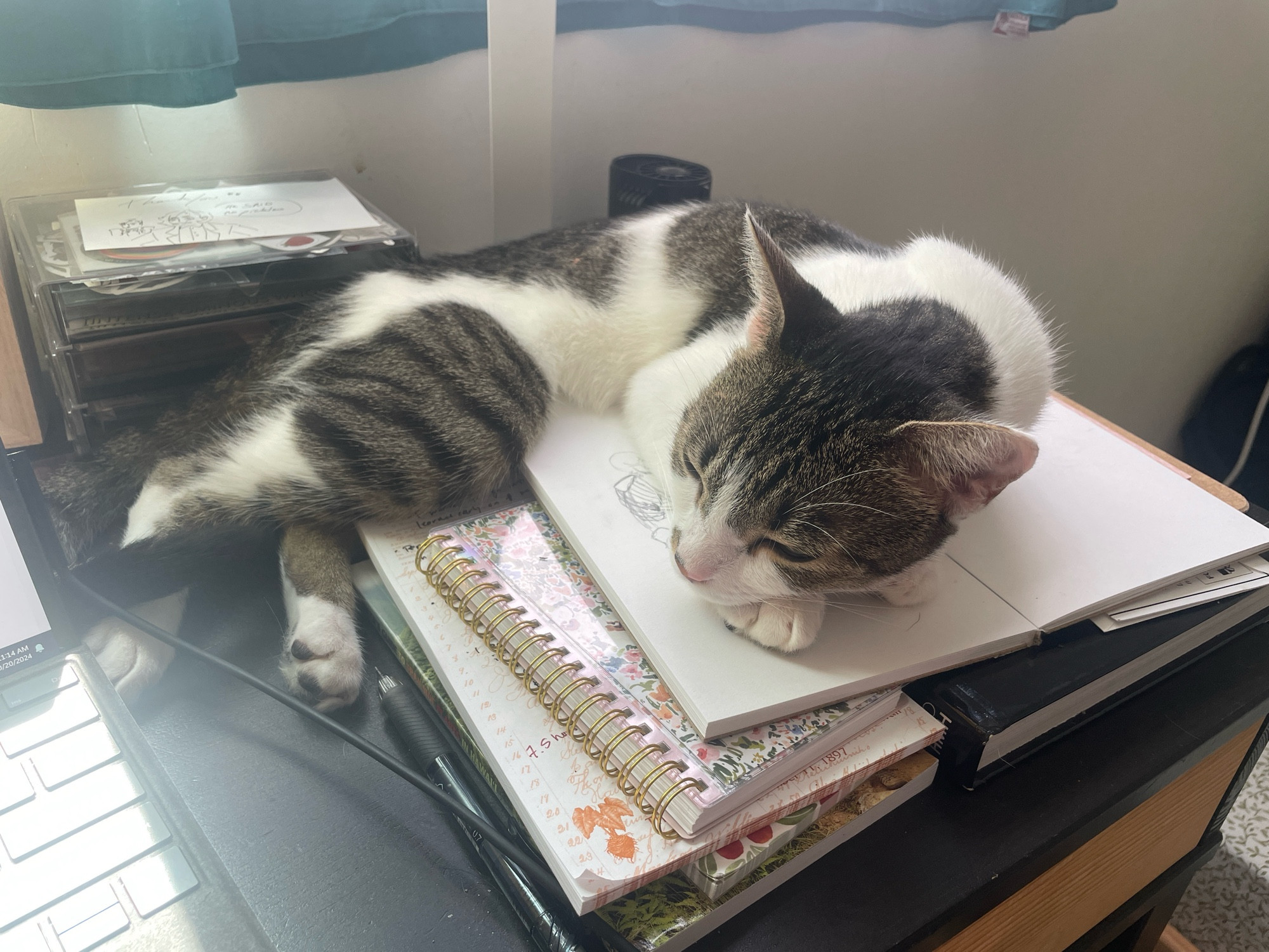 A grey and white cat half laying on a desk and a stack of notebooks and an open sketchbook