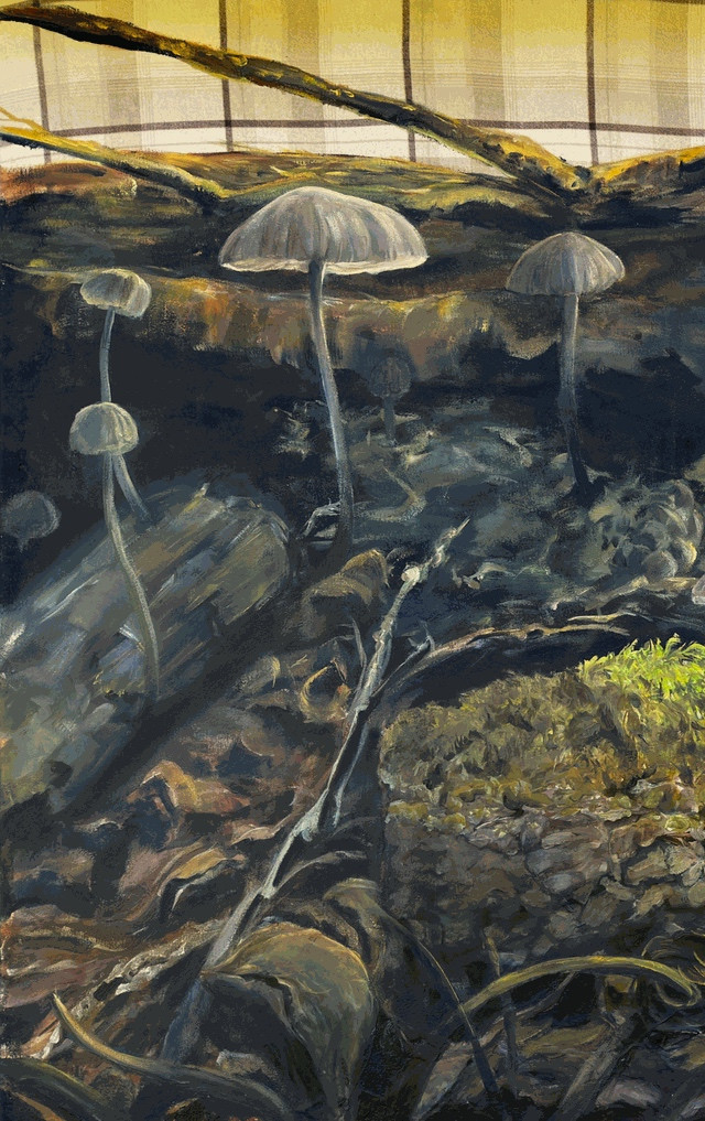 Section 1, panel 1 
