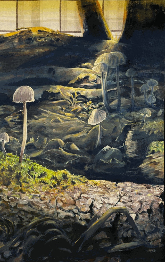 Section centre panel 1. Mushrooms on forest floor as the sun flows through the trees.