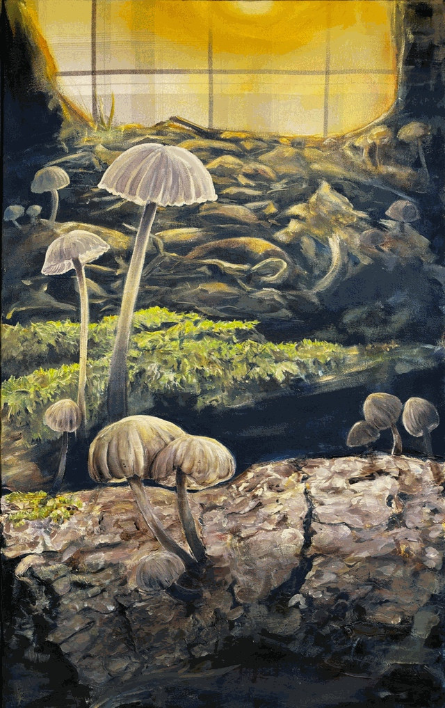 Last panel, mushrooms on forest floor, sunshine lighting up the translucent mushroom caps.