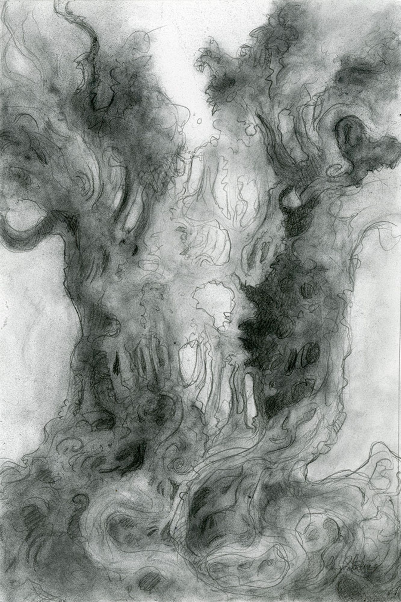 A graphite powder drawing of a tree. There are many roots and branches as if it is turning into a forest.