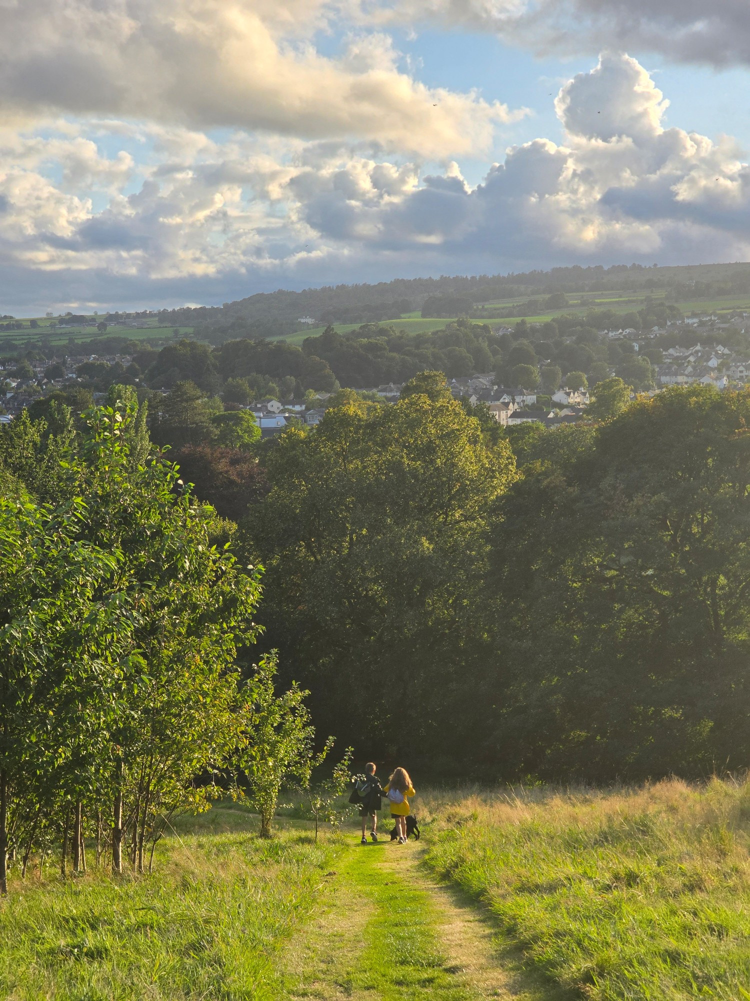 A wooded scene with two kids and a Labrador. A town peeks from behind the trees.