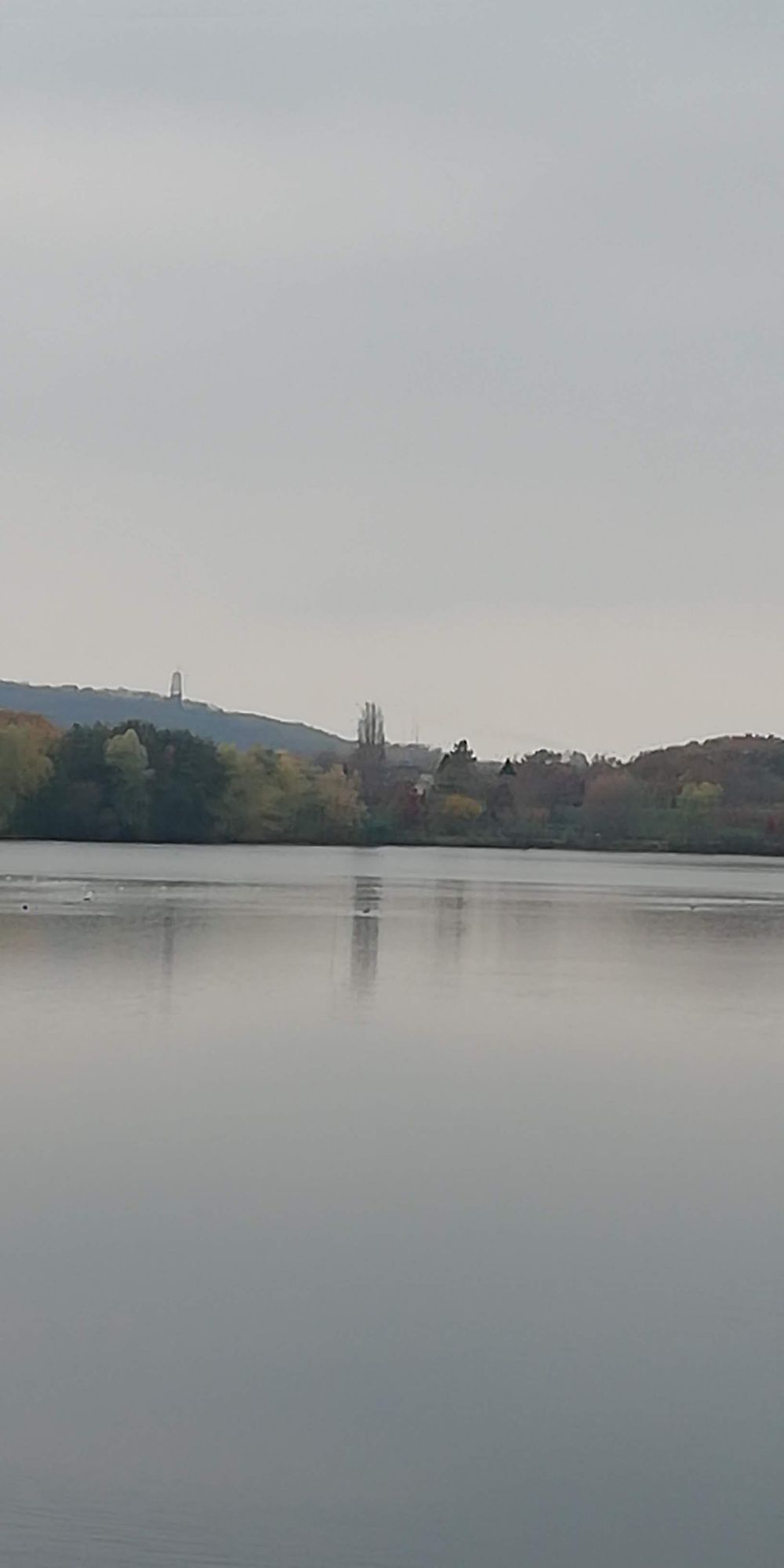 Blick auf einen See. Das Wasser ist spiegelglatt. Am gegenüberliegenden Ufer sieht man Bäume und Sträucher. Dem Wetter entsprechend ist alles in Grautönen.