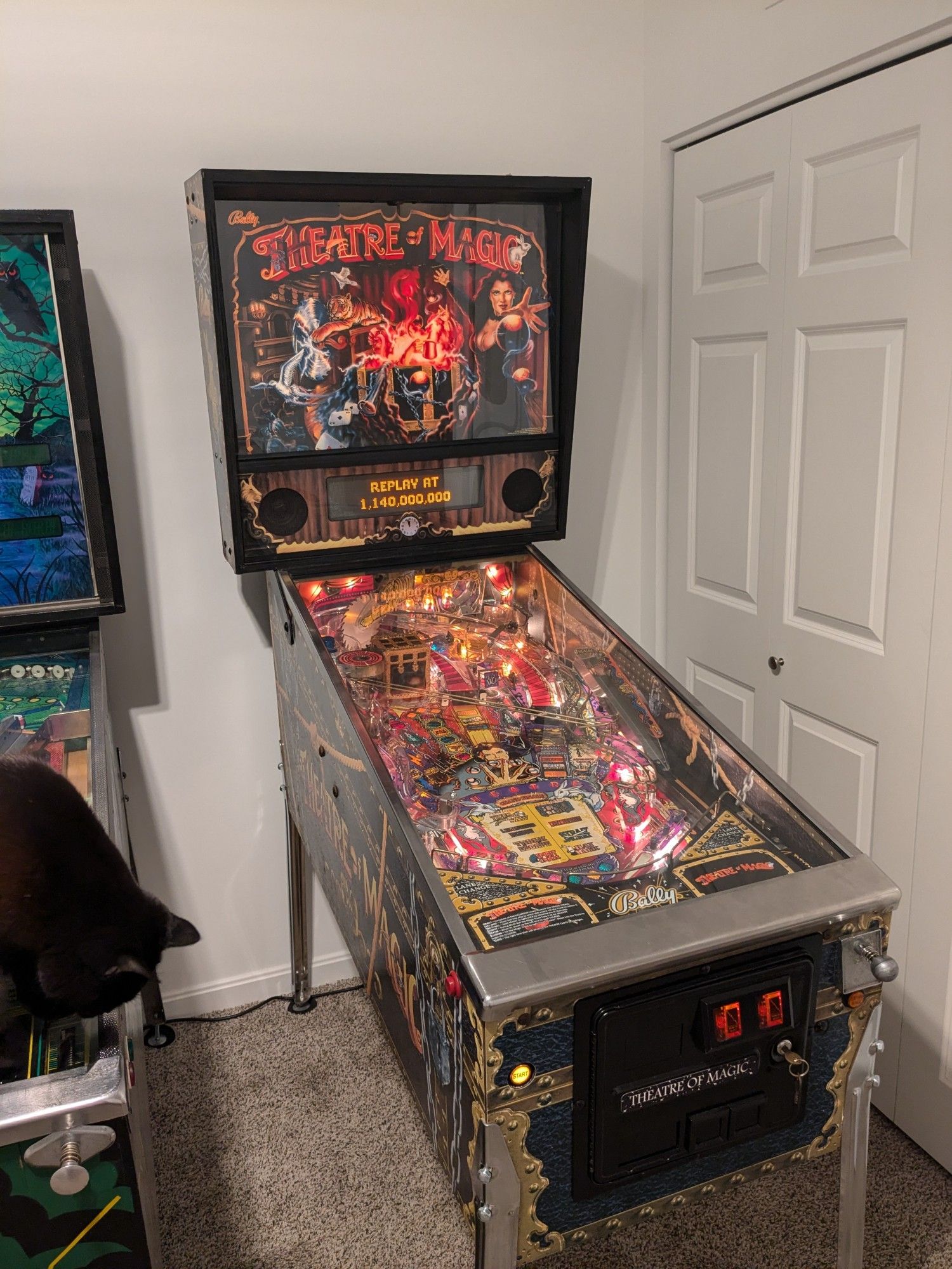 A Balley Theatre of Magic pinball machine. To the left there is a second machine which a black cat is standing on