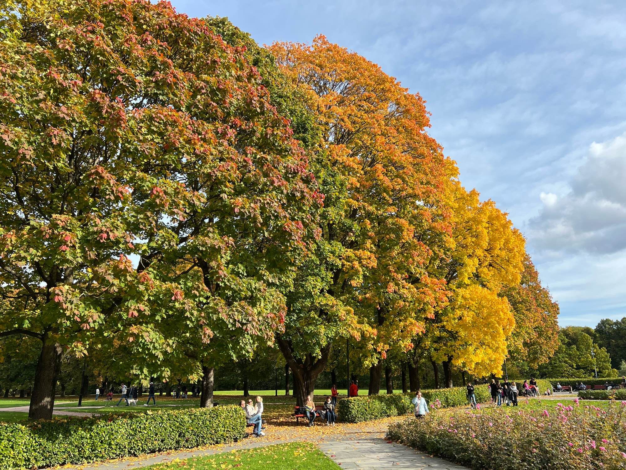 Vigelandsparken høst 🍂🍁