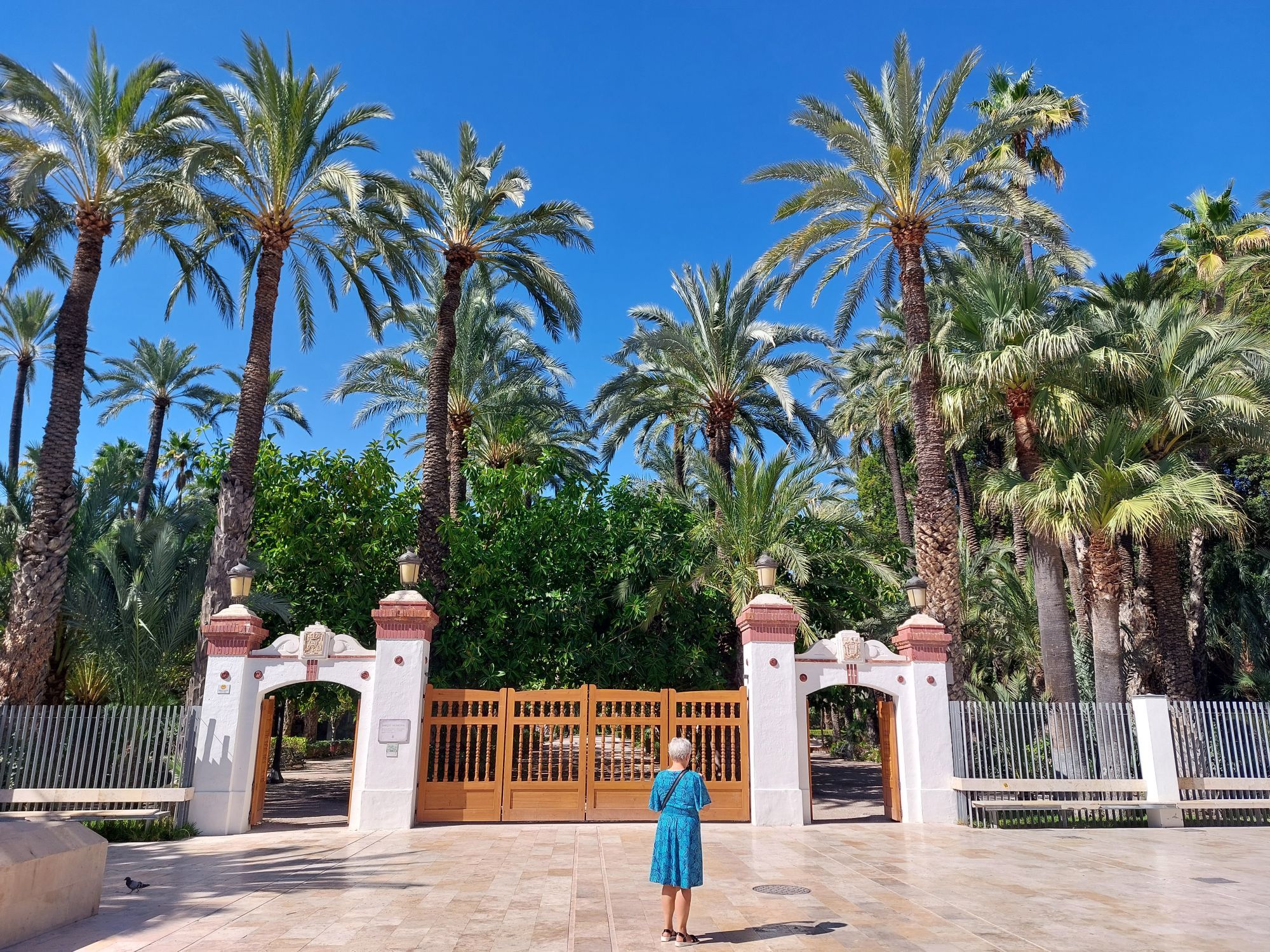 Eine Frau in einem blauen Kleid steht vor einem Palmengarten.