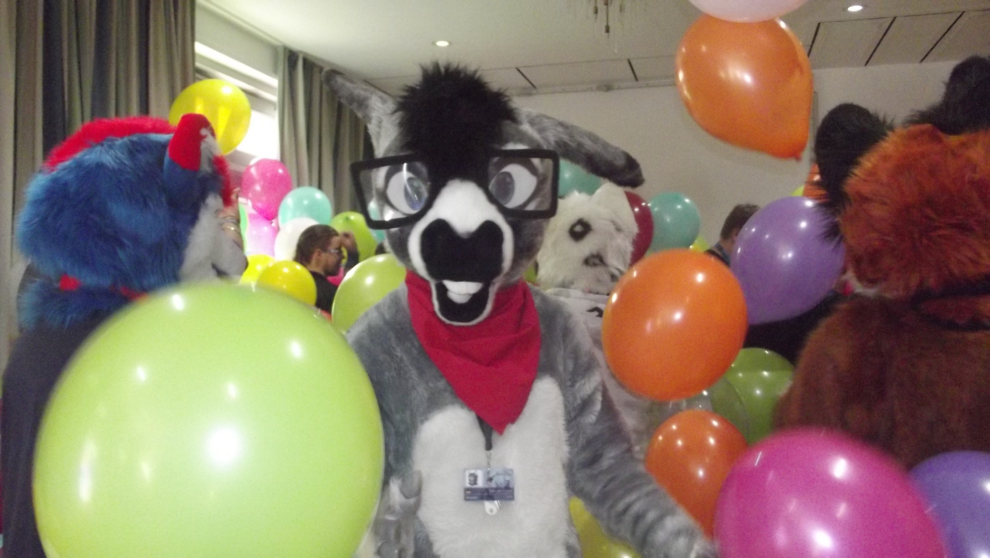 donkey fursuiter with glasses and a red bandana standing in a room filled with colorful balloons