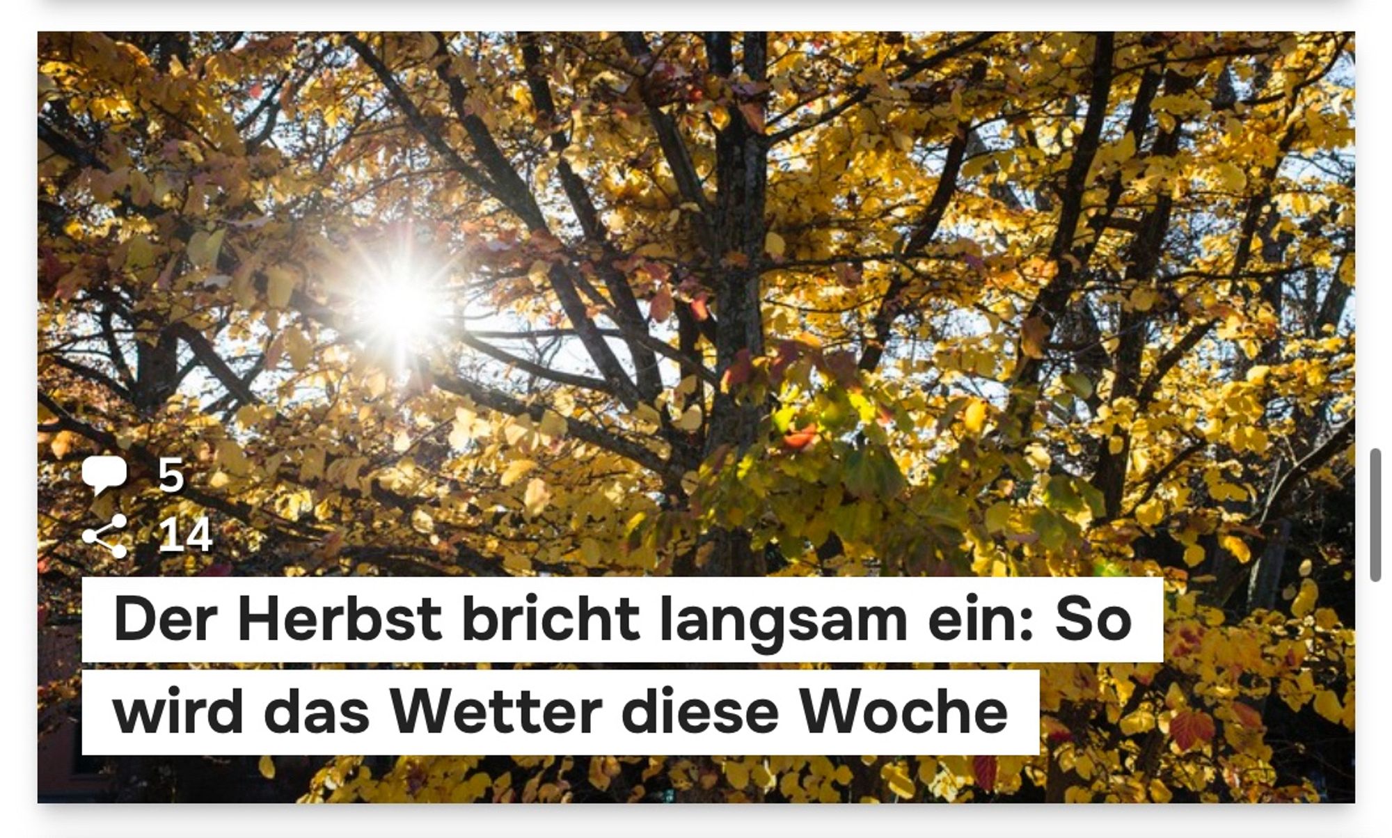 Ein Titelbild von einem Watson-Artikel mit dem Text: „Der Herbst bricht langsam ein: So wird das Wetter diese Woche“