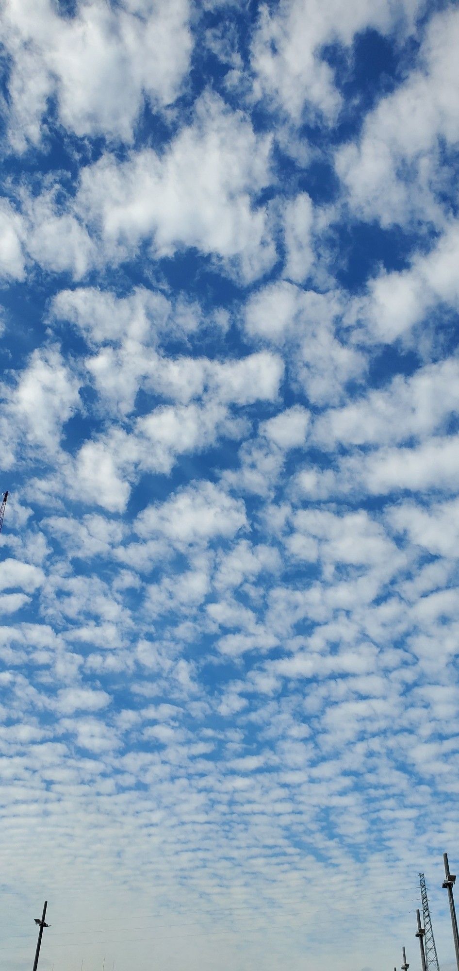 秋の空