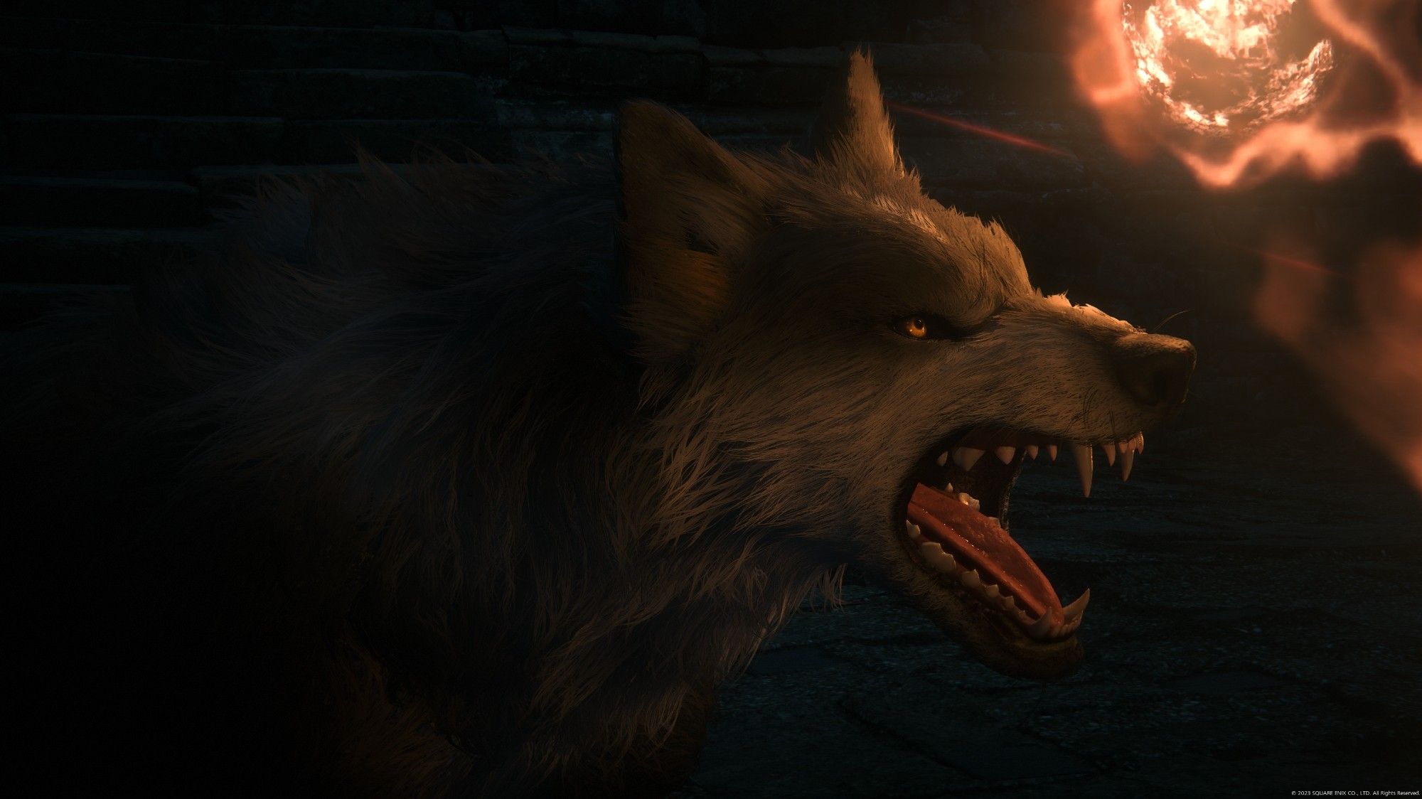 Torgal, a grey-colored wolf, is facing right, his mouth open wide and teeth bared in a snarl. His face is lit from above by the glow of a fireball.