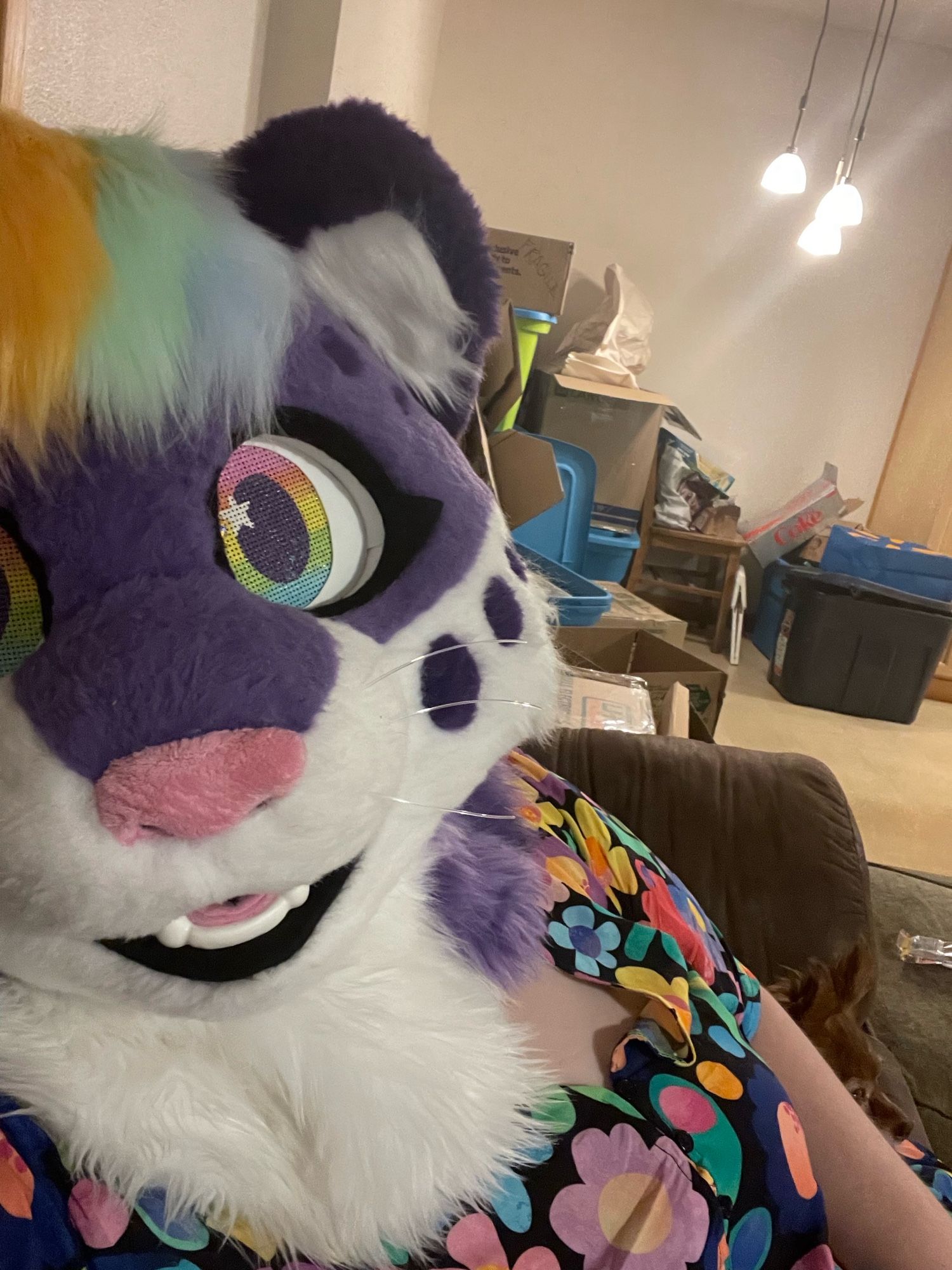 A purple snow leopard partial fursuit on a person wearing a floral dress with a pile of unpacked boxes in the background