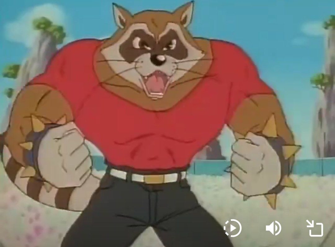 Anthro Raccoon 