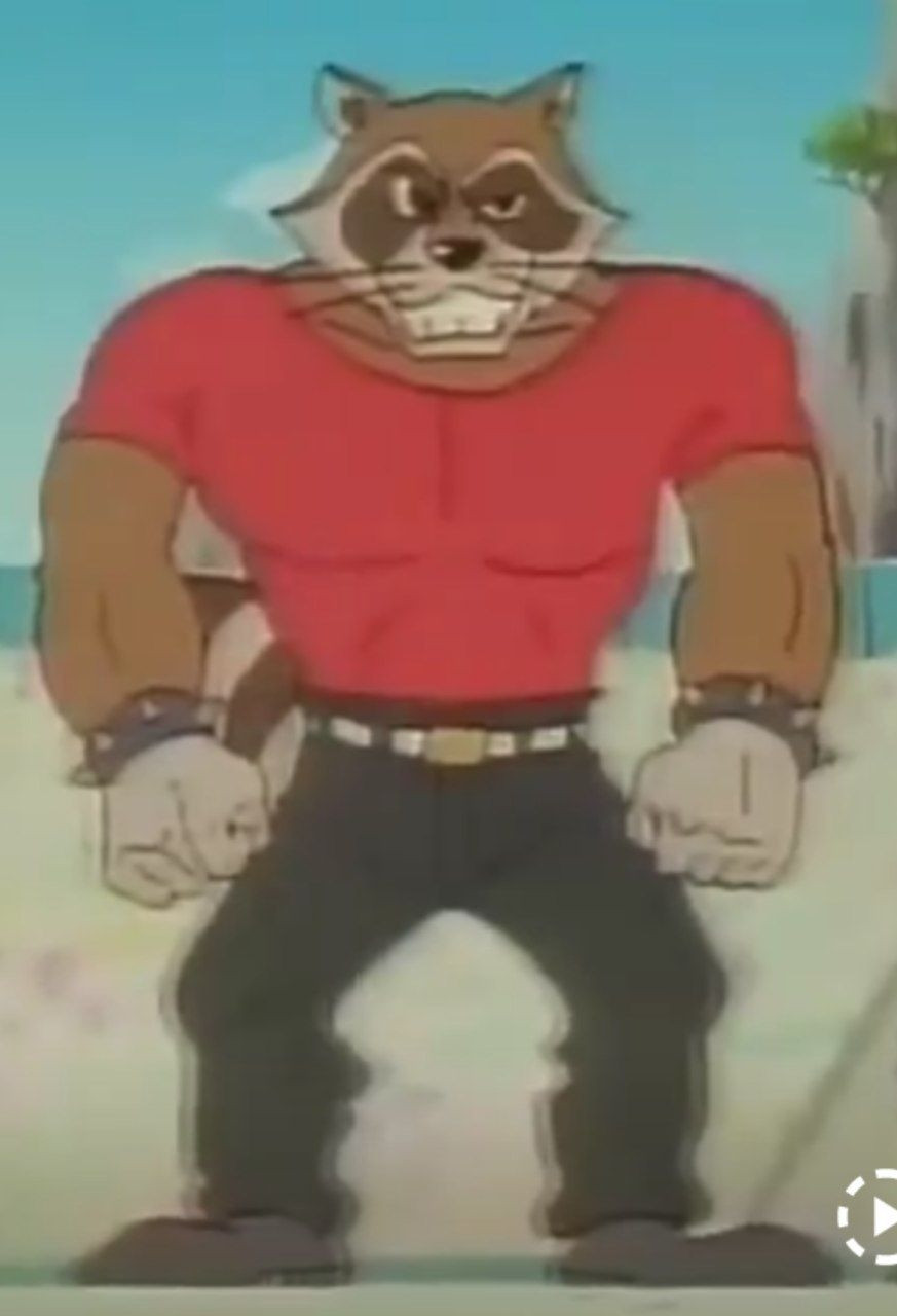 Anthro Raccoon 