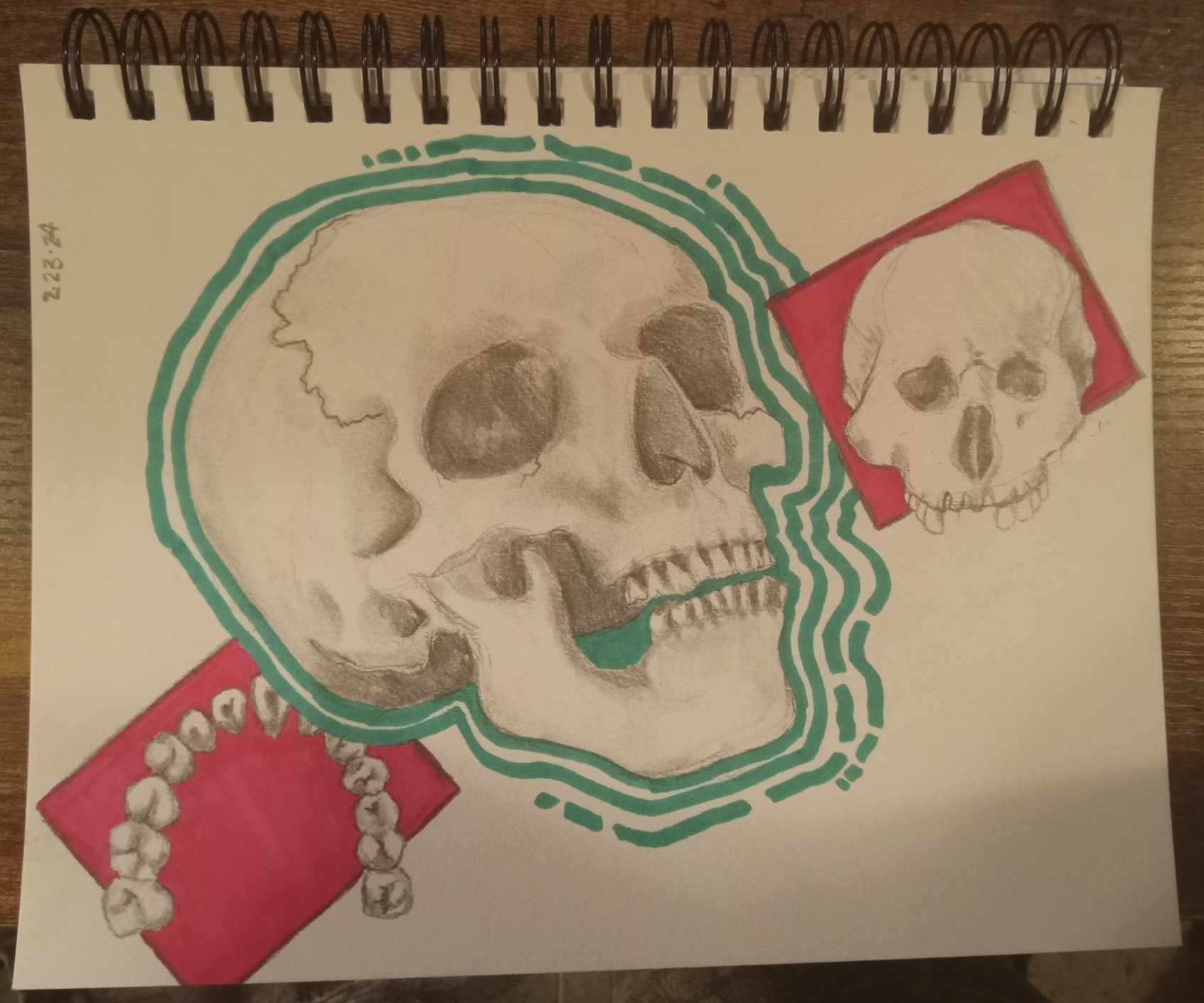 drawing by me (theeshadylady) skull in the center framed by turquise and pink squares framing skull front view and bite view - media: pencil and ohuhu markers (copic knockoff markers)