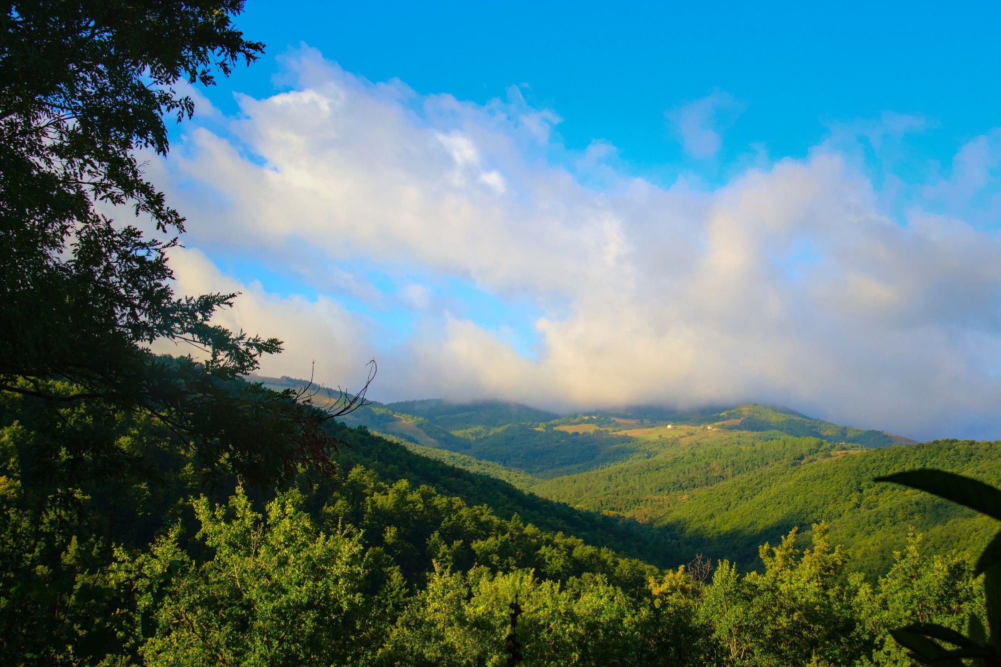 a wide green wooded valley with low cloud lifting into a blue sky.