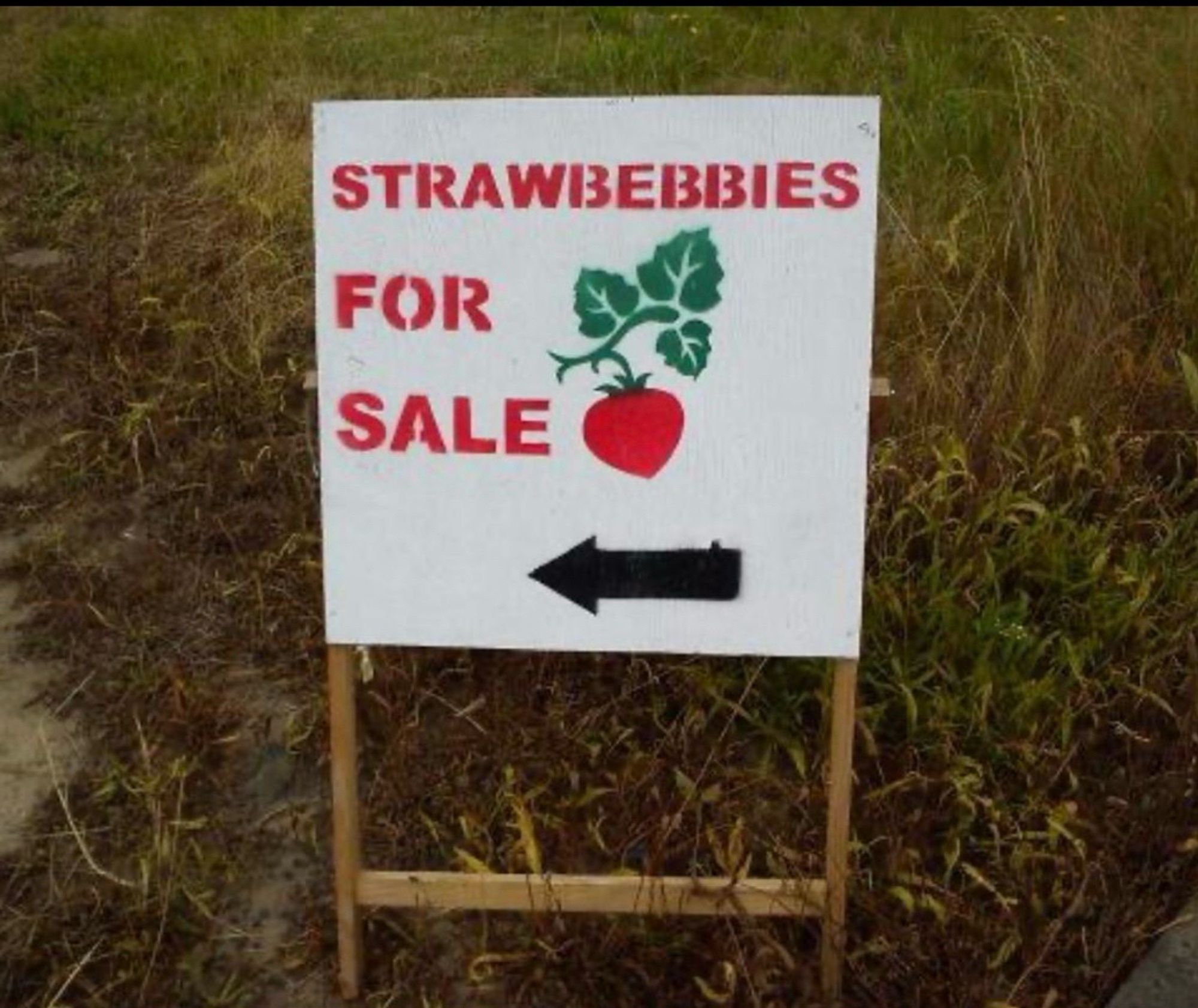 A sign that says “strawbebbies for sale” with a stencil of a strawbebbie on it. Looks a lot like a strawberry but we can’t really be sure.