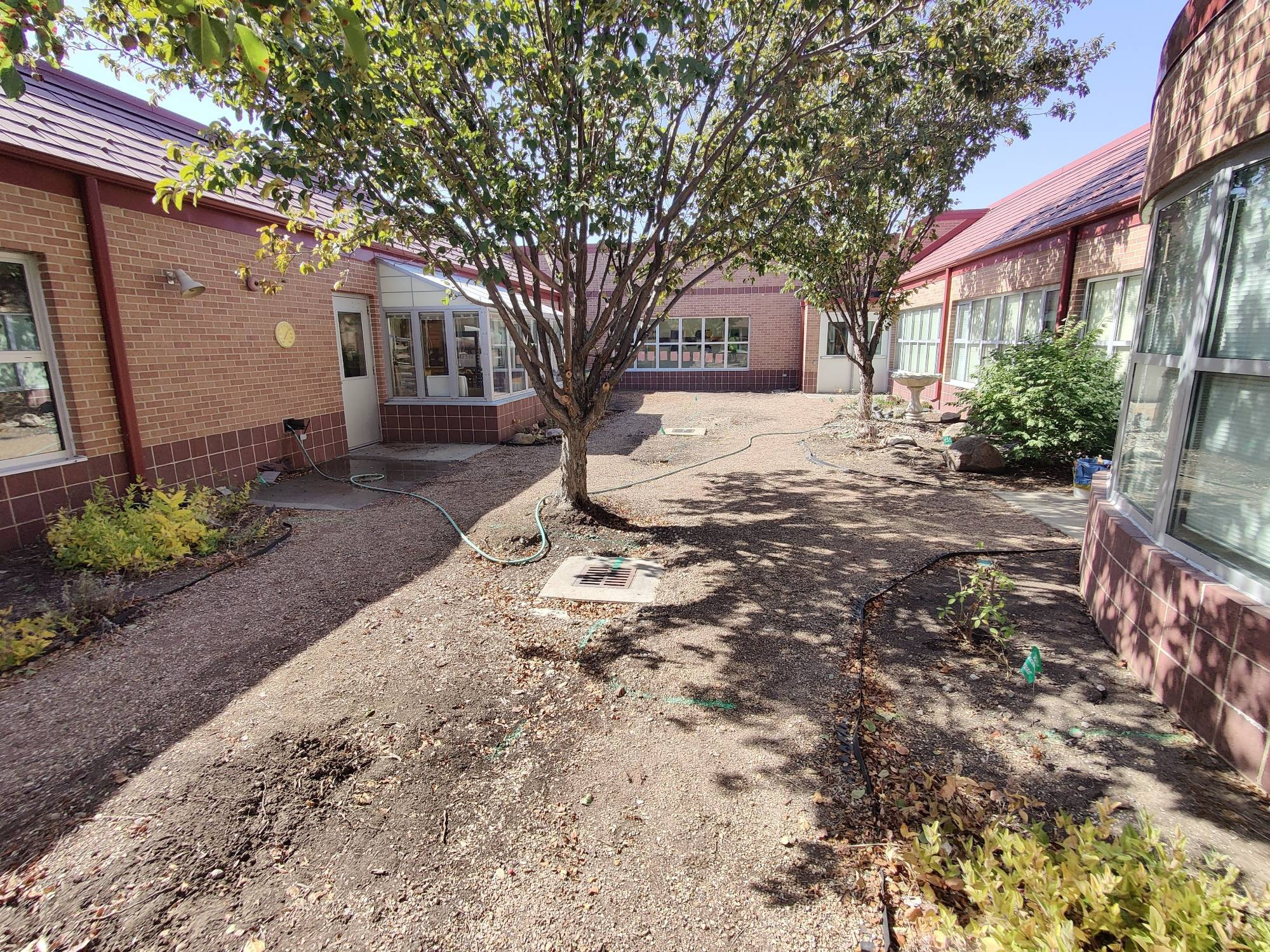 Picture of a hidden atrium garden outside an elementary school library. The plants are thin and sad after a year without a caretaker.