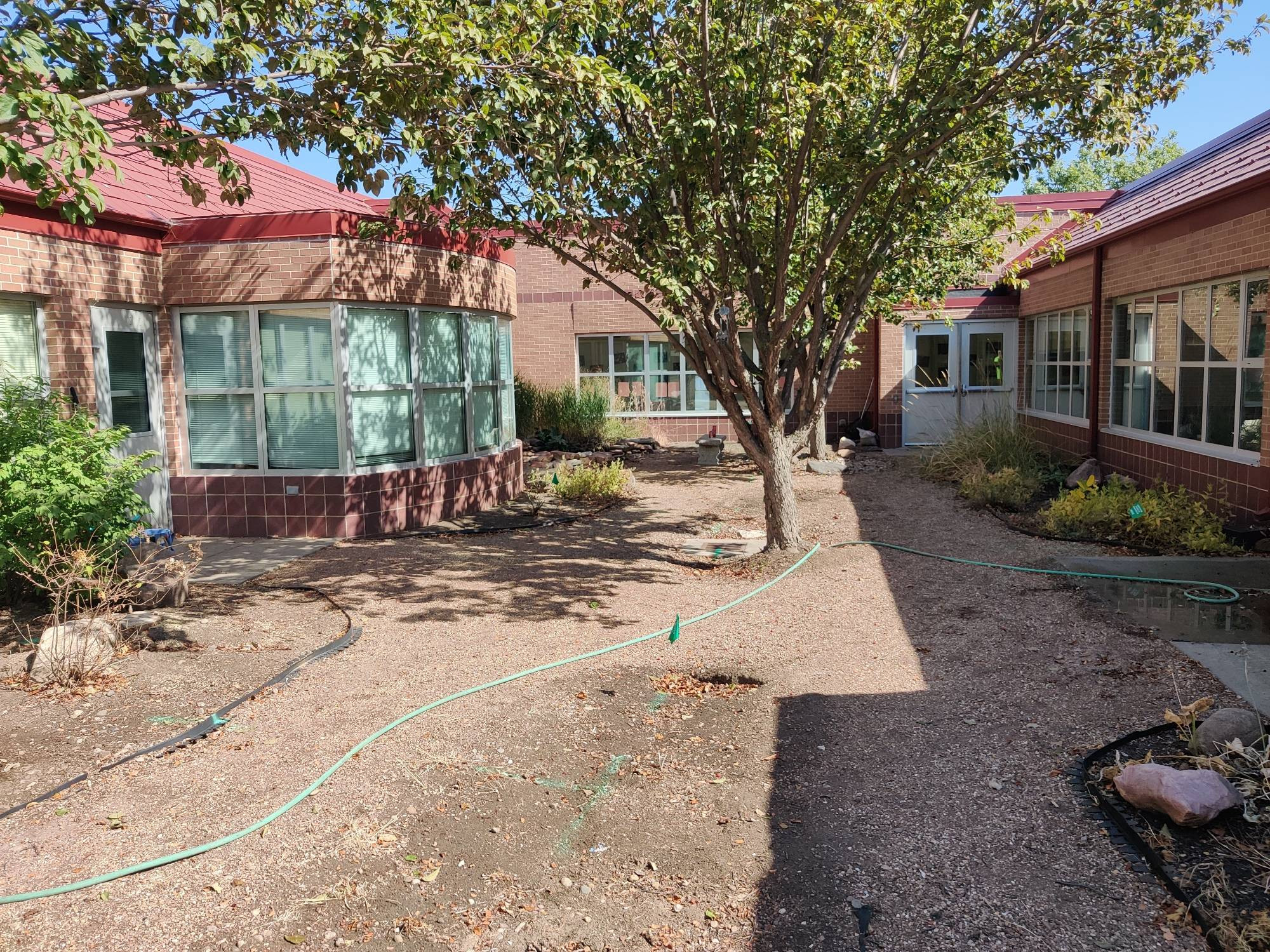 Picture of a hidden atrium garden outside an elementary school library. The plants are thin and sad after a year without a caretaker.