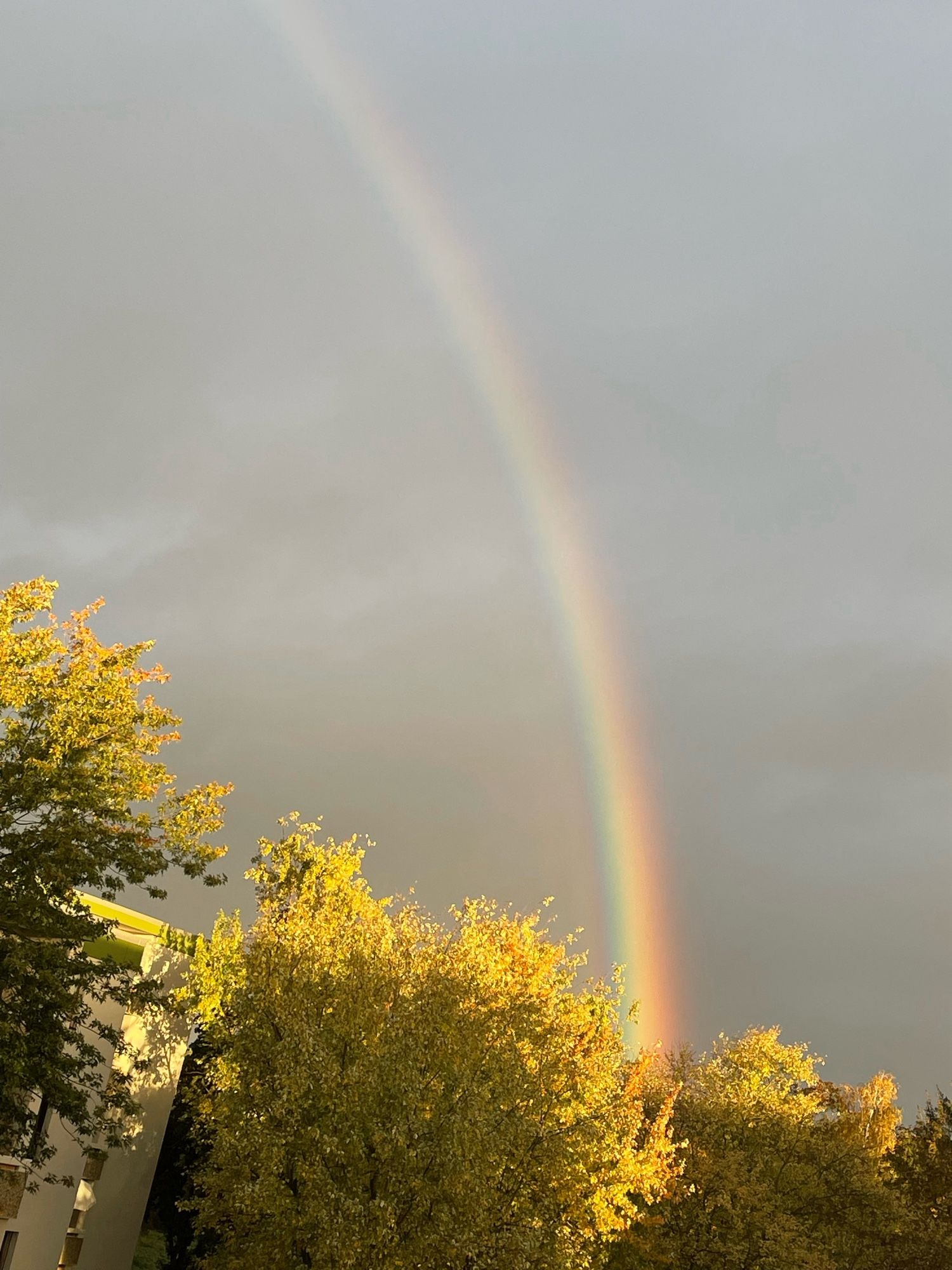 Das Ende des Regenbogens (ohne Topf mit Gold)