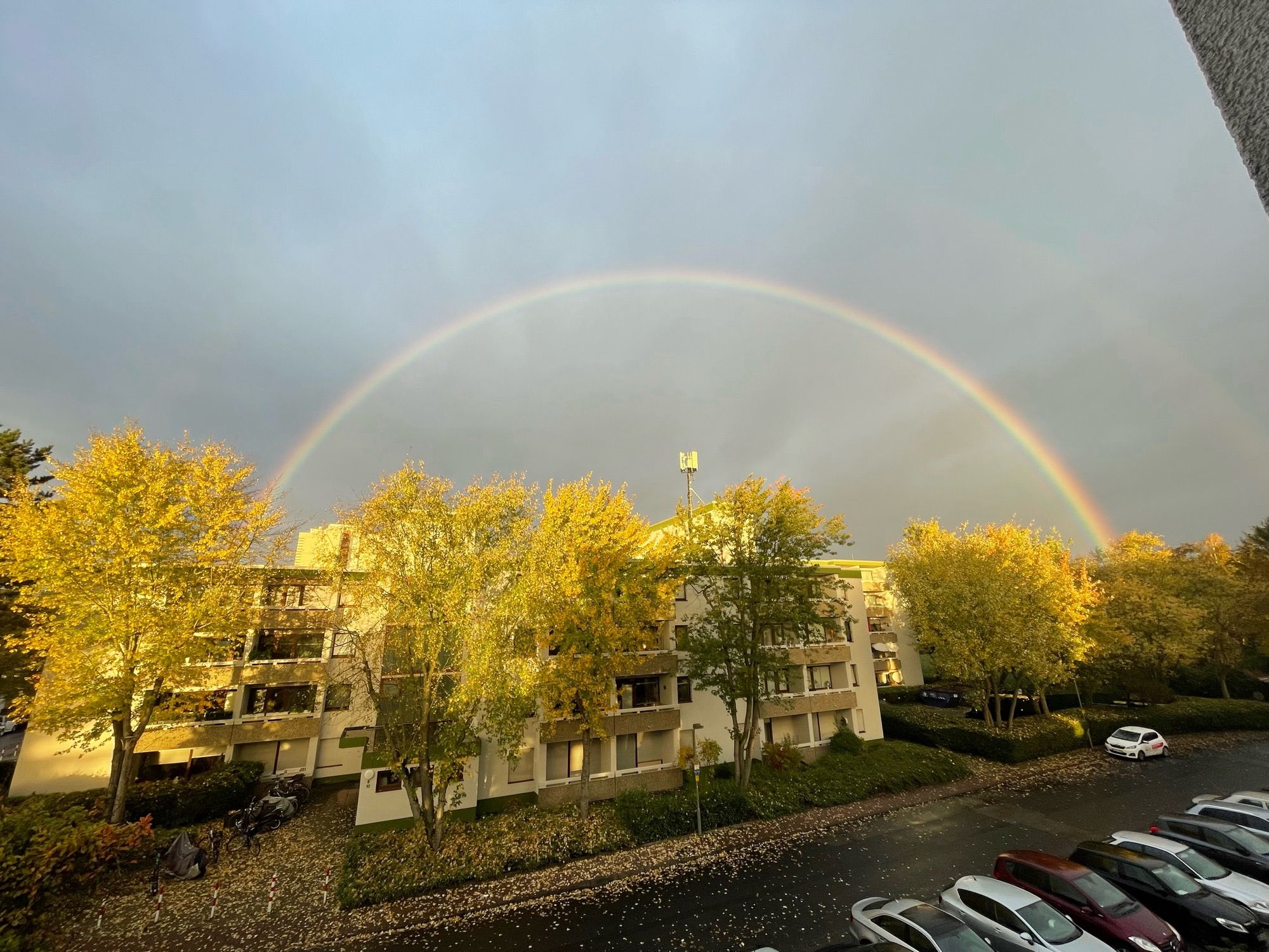 Ein vollständiger Regenbogen