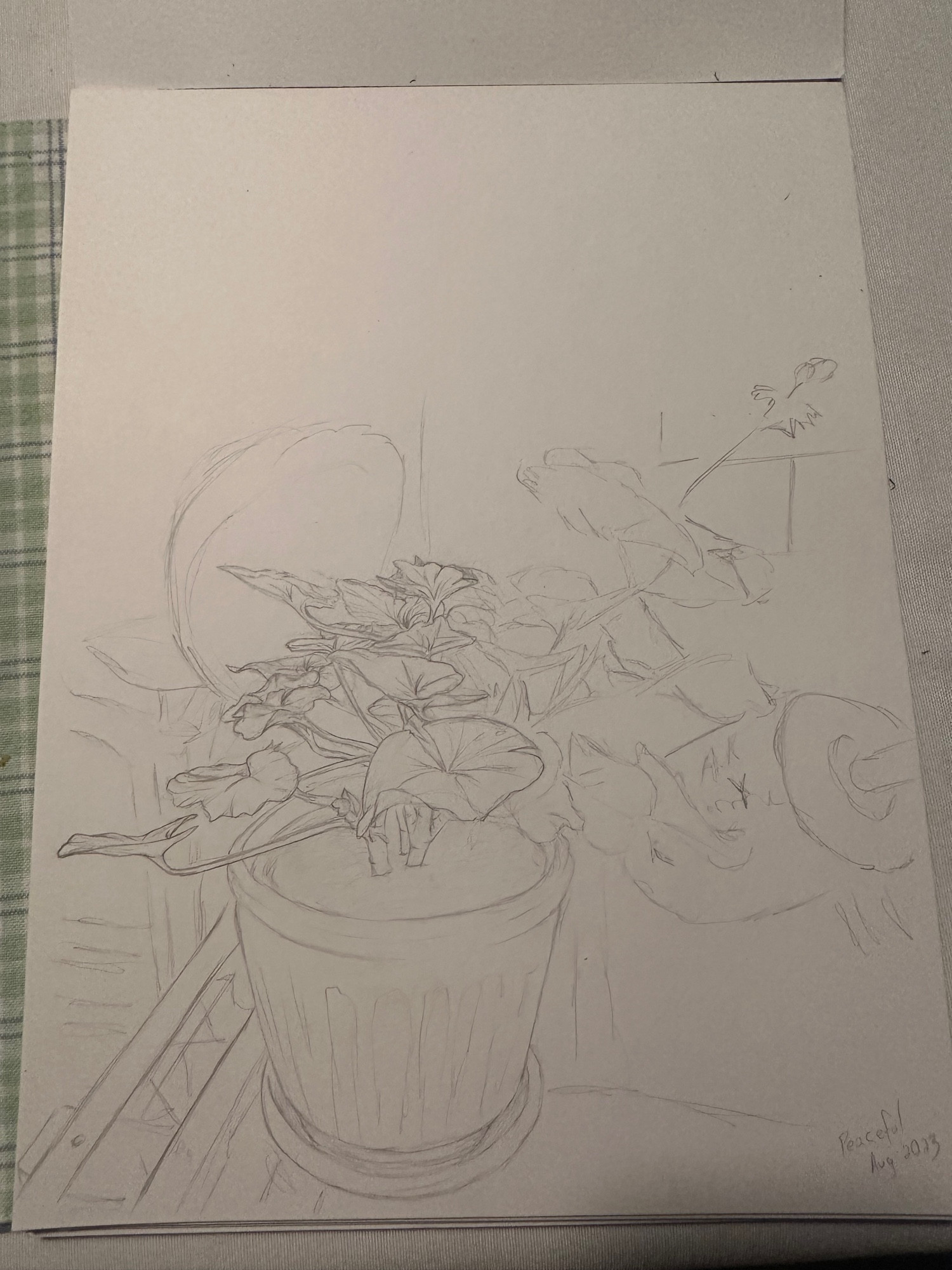 A sketch of a potted plant, leaning towards the sun to the right. Half of the plant itself has been worked on beyond the initial sketch phase, making the leaves, stems, and shapes much clearer and more distinct. There’s a large buoy and a chair in the background, and the pot is sitting on a lobster trap.