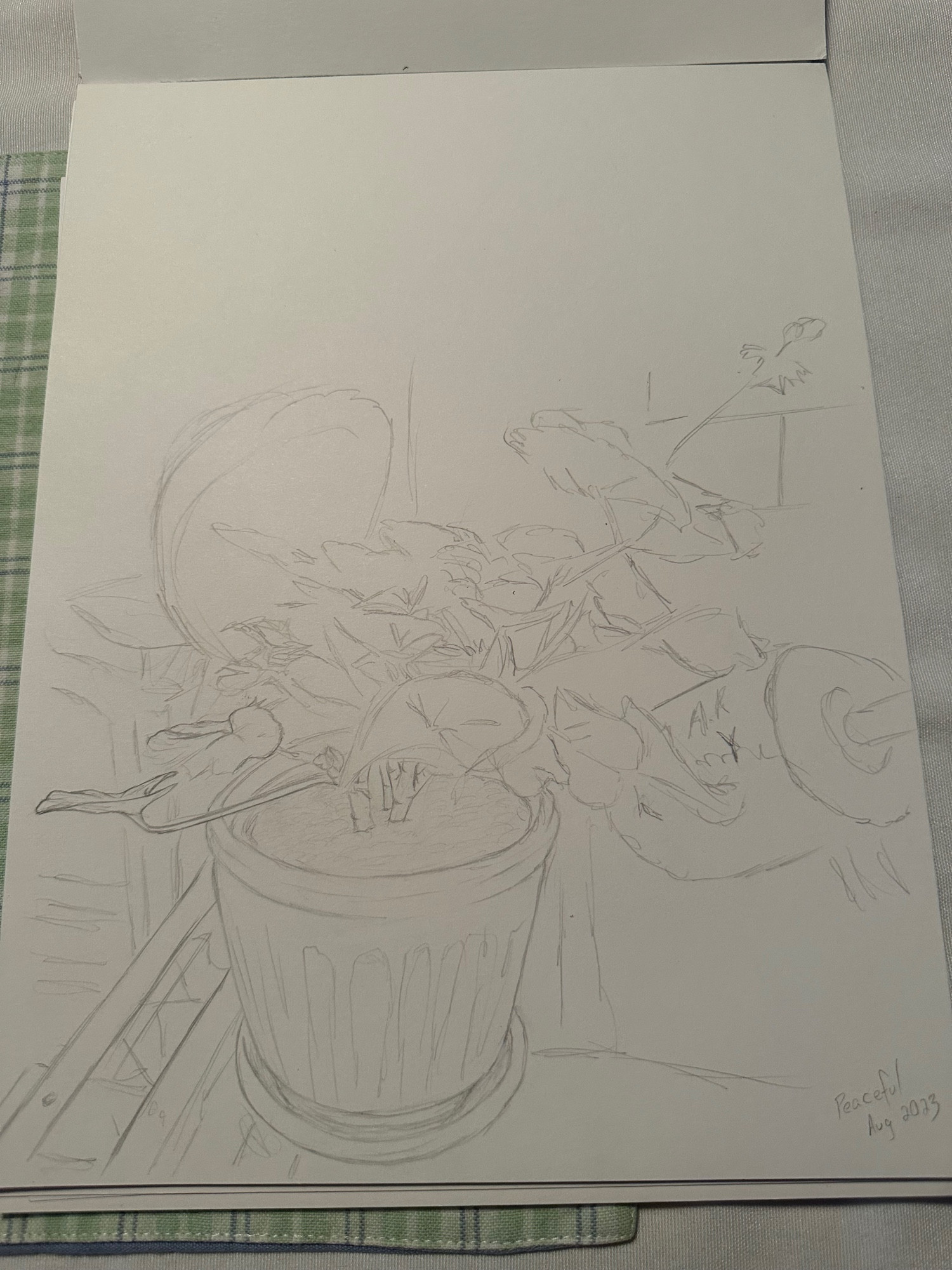 An initial sketch of a potted plant, leaning towards the sun to the right. There’s a large buoy and a chair in the background, and the pot is sitting on a lobster trap.