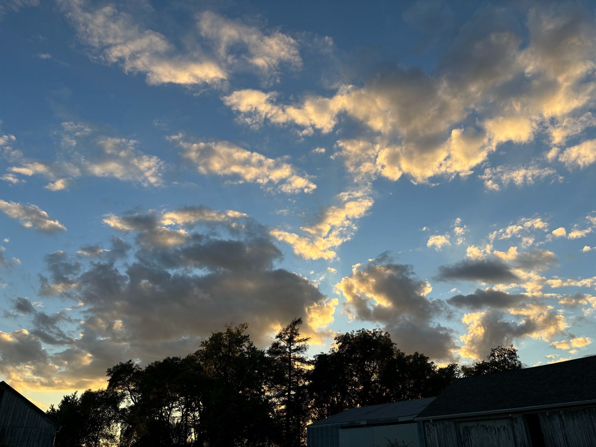 Big fluffy kind of low looking clouds against a light blue sky over treetop silhouettes