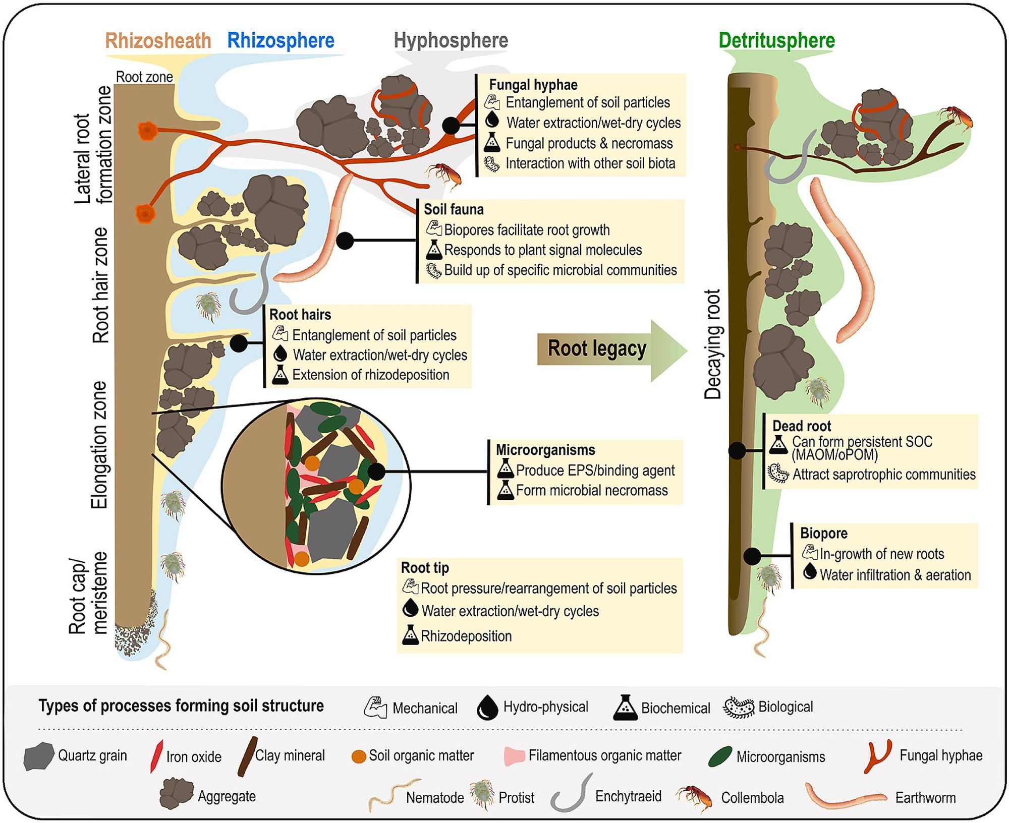 https://www.sciencedirect.com/science/article/pii/S0038071724000853?via%3Dihub