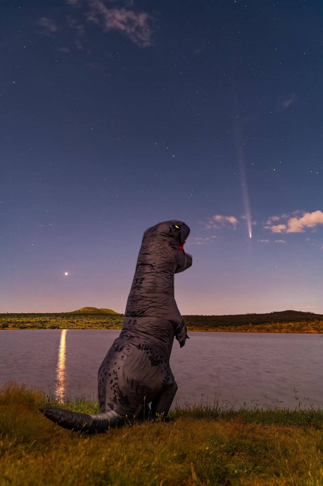 a person in an inflatable t-rex costume is looking at the current comet, which is going downwards as though it's the meteor that killed the dinosaurs