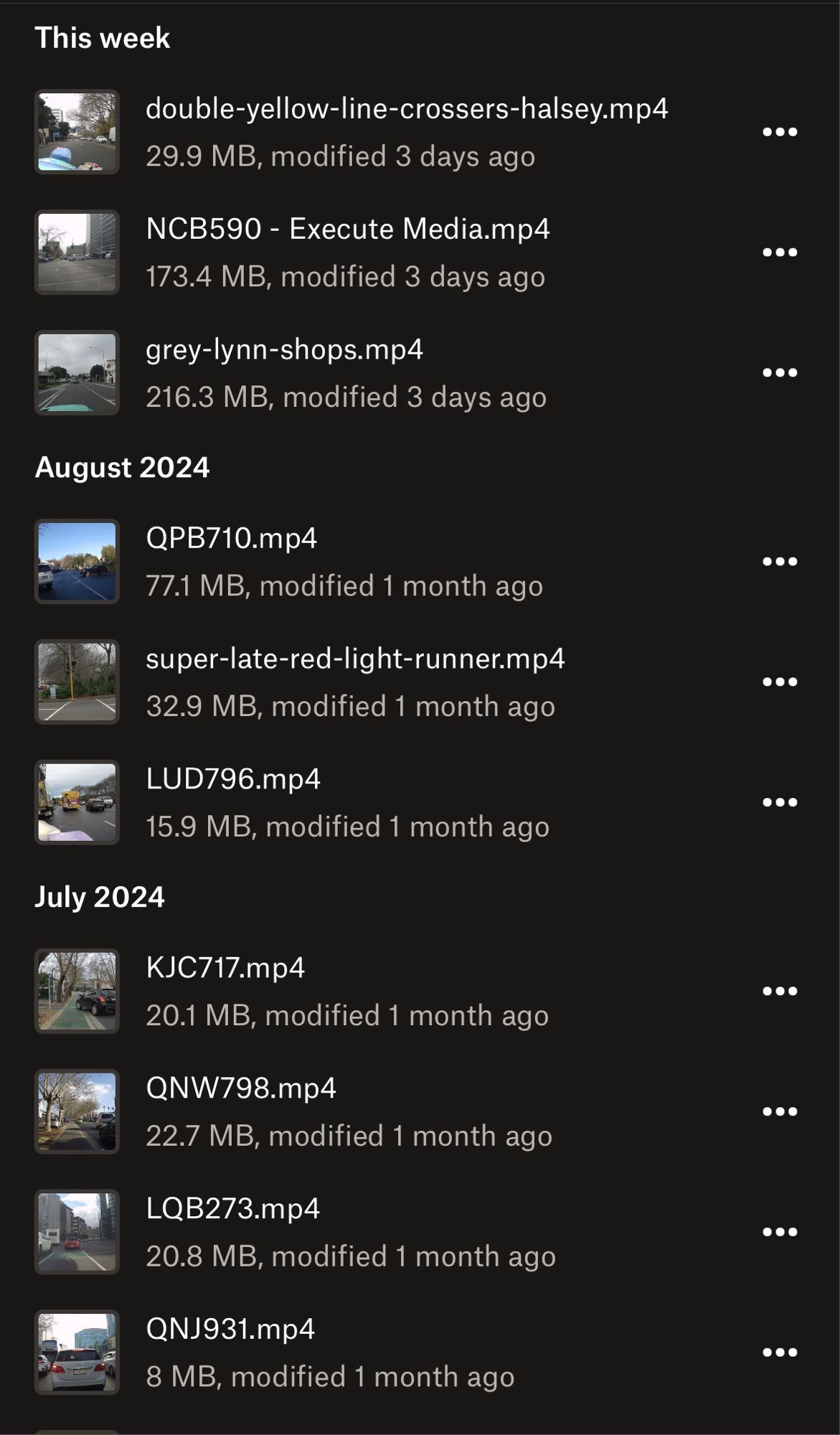 Screenshot of a list of video files, mostly with car number plates as file names