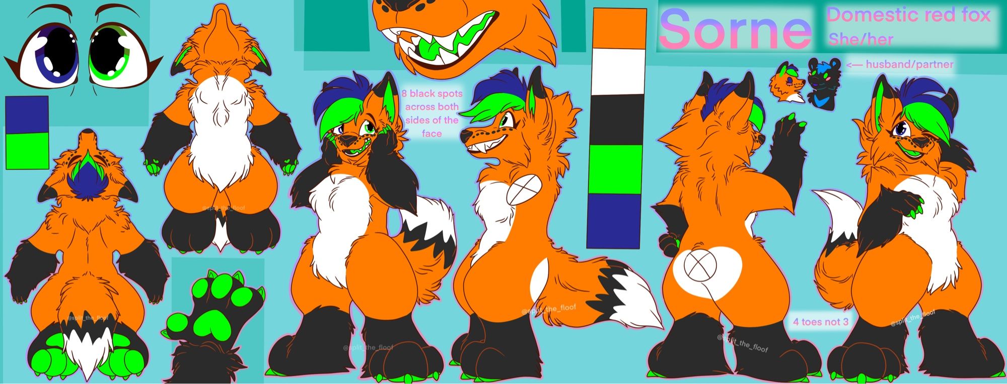 Reference sheet of a fox character