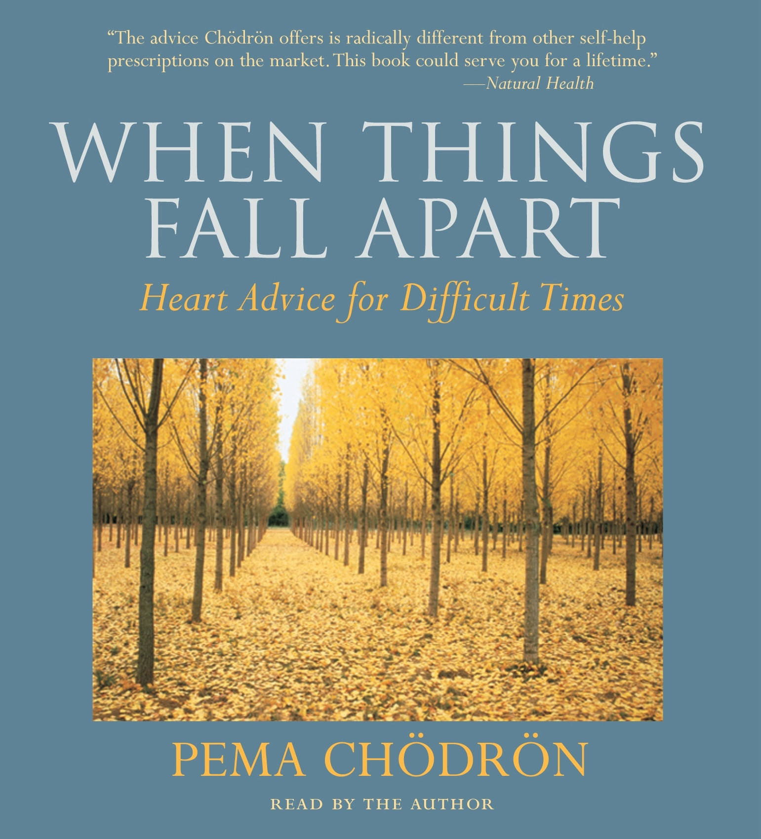 Cover of Pema Chödrön’s When Things Fall Apart - Heart Advice for Difficult Times. Great border with a picture of lines of trees, their leaves golden with autumn