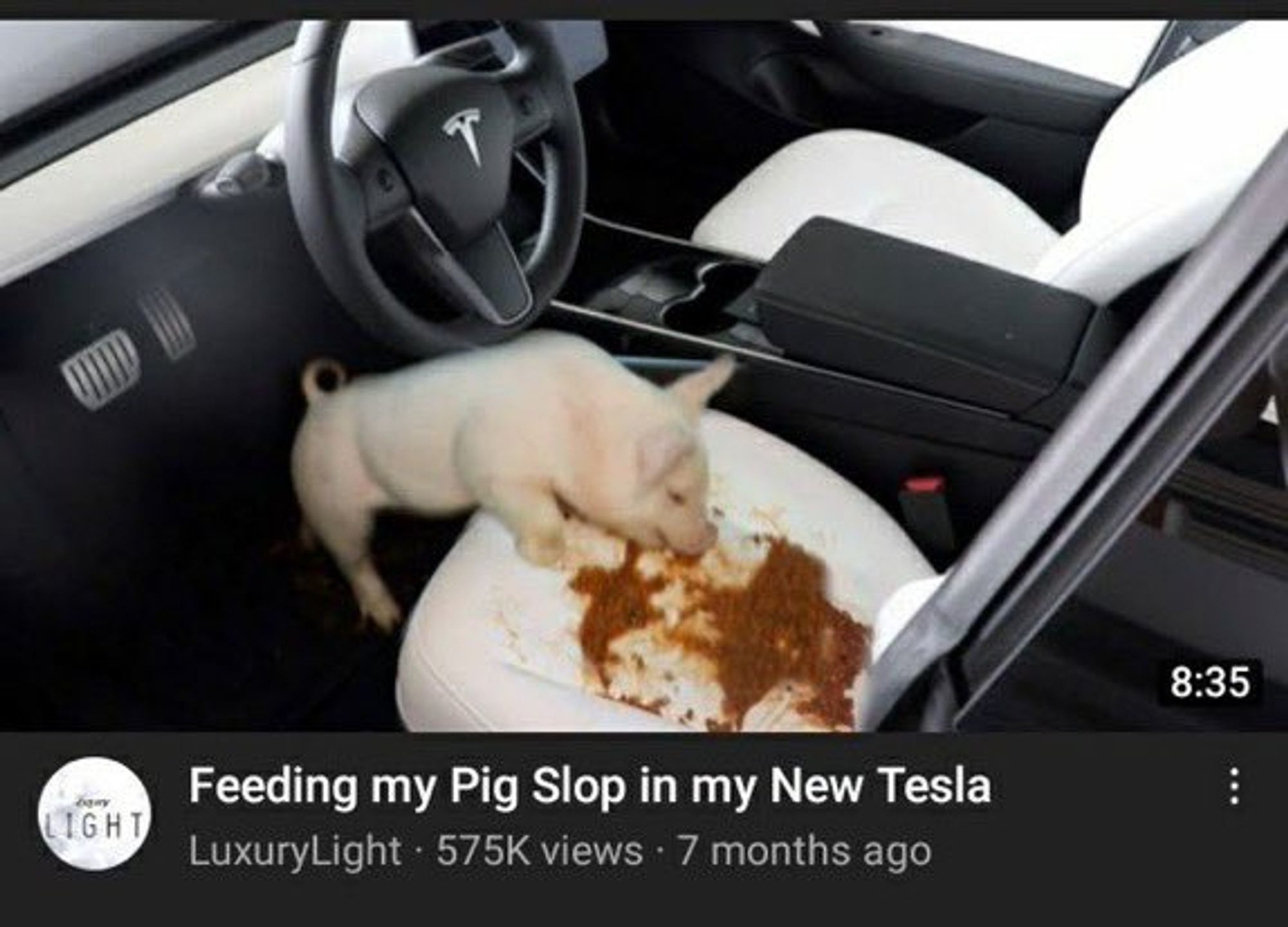 YouTube thumbnail

Feeding my pig slop in my new tesla 575k views