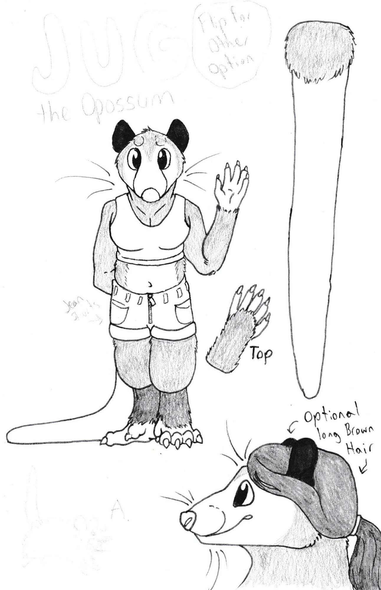 A black and white ref sheet for Jug the opossum.