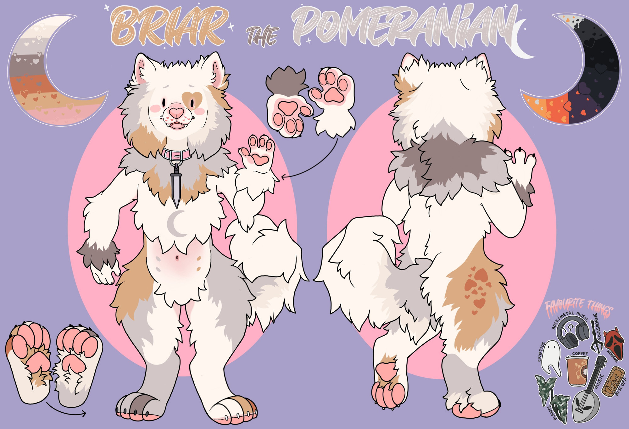 A double Merle Pomeranian anthropomorphic dog.