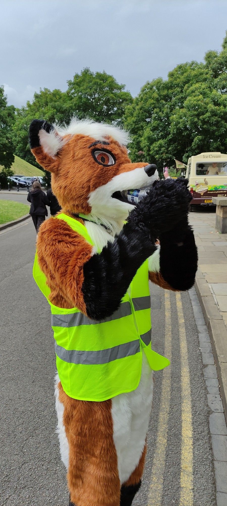 Arco fox wearing hi-vis deep-throating a water bottle)