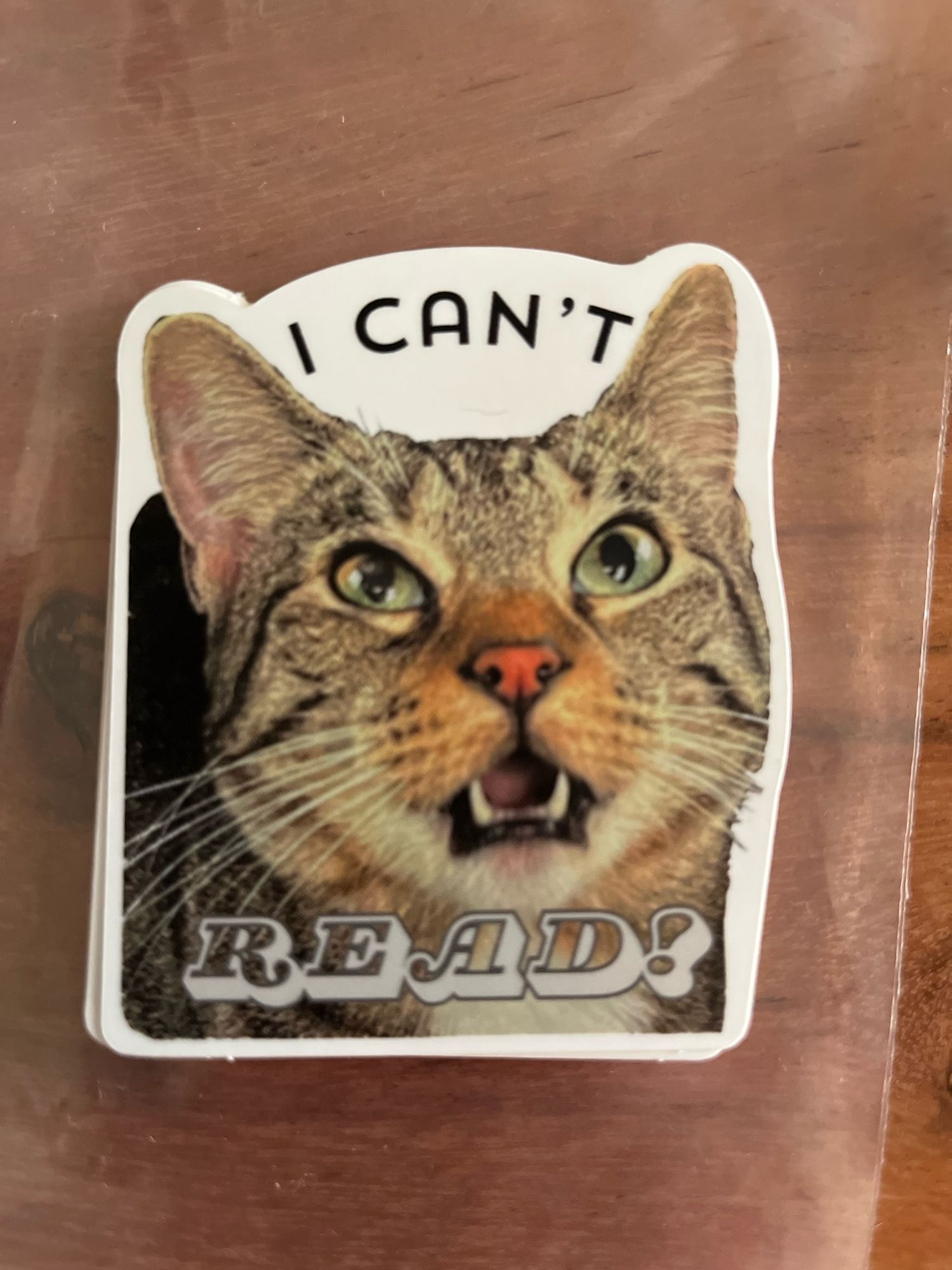 A sticker that’s a picture of my cat, screaming, with overlaid text that says “I can’t read!”