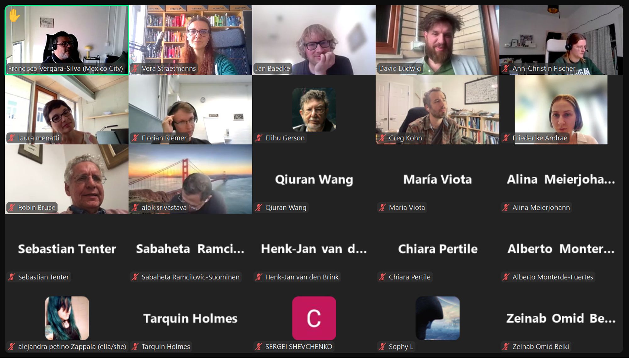 Screenshot from zoom showing participants during the discussion.