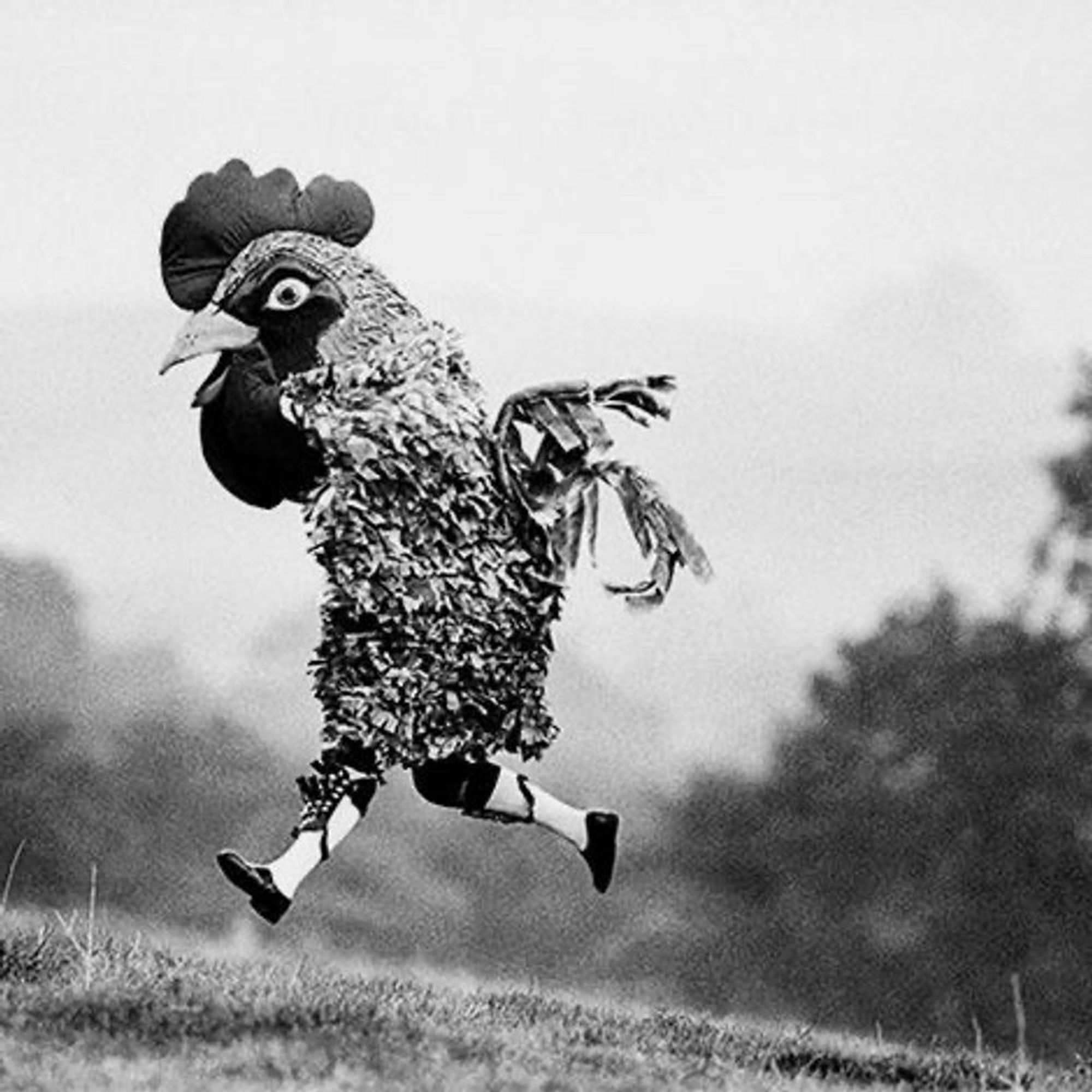 a kid in a chicken head costume running gaily, scraggly wings out, b&w photo