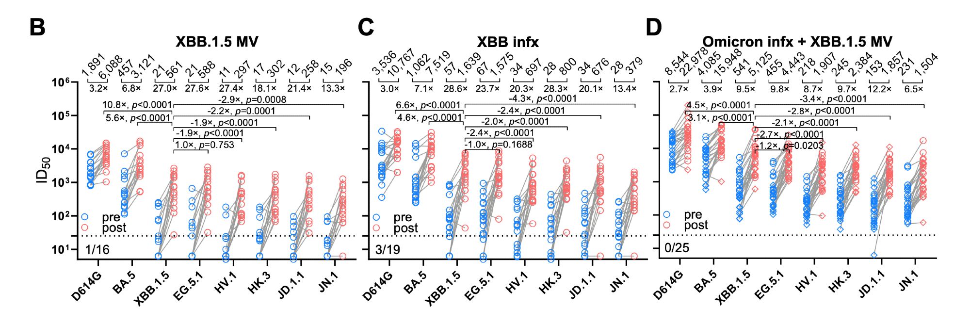 Antibody titres against wild-type, BA.5, XBB.1.5, EG.5.1, HV.1, HK.3, JD.1.1, & JN.1 after XBB.1.5 monovalent vaccine administration, XBB infection, & omicron infection followed by XBB.1.5 monovalent vaccine administration. Titres against all variants rose. They were more or less the same (1x to -1.2x) between XBB.1.5 & EG.5.1, but were 2.9x lower for XBB.1.5 monovalent vaccine recipients, 4.3x lower for XBB-infected people, & 3.4x lower for omicron-infected & XBB.1.5 vaccinated people. Titres were highest for the latter group.