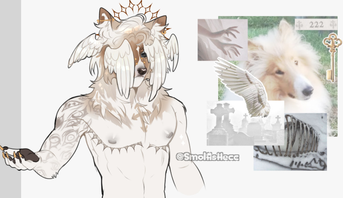 Rough collie angelical aesthetic furry adopt, with multiple wings, moodboard and mastec scars