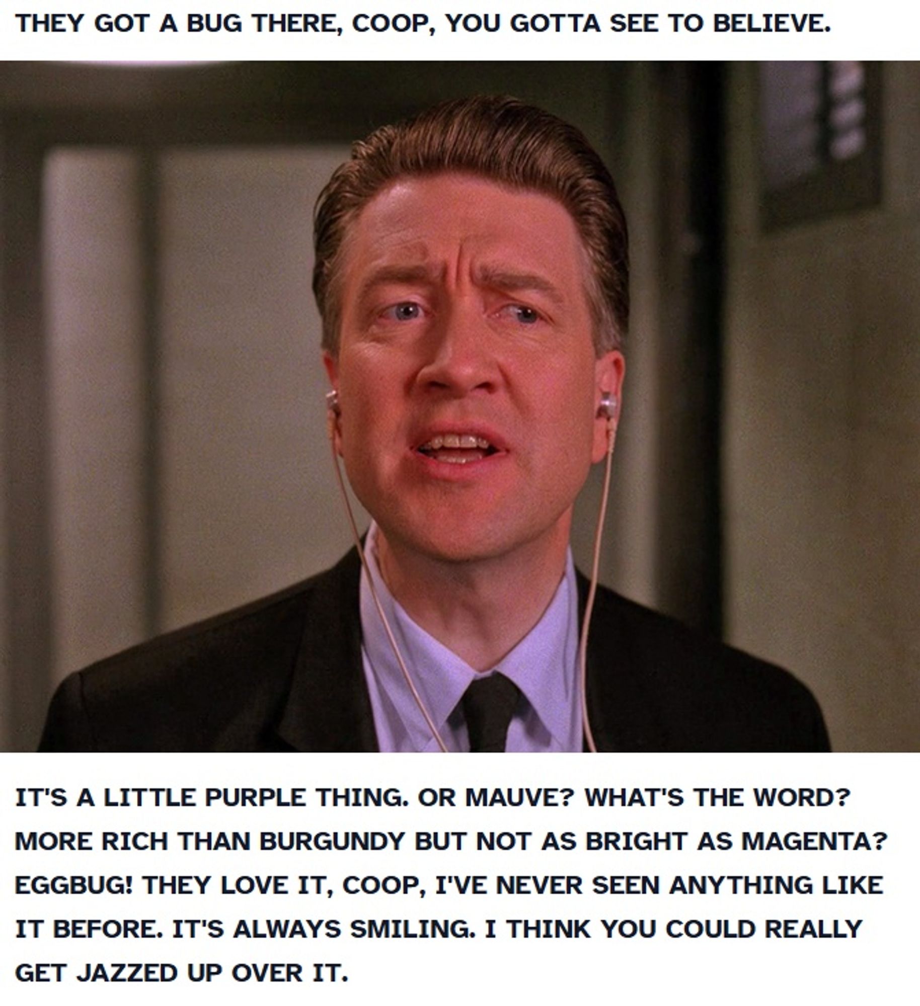 A photo of David Lynch as Gordon Cole in 'Twin Peaks,' captioned - presumably yelling - the dialogue: "THEY GOT A BUG THERE, COOP, YOU GOTTA SEE TO BELIEVE. IT'S A LITTLE PURPLE THING. OR MAUVE? WHAT'S THE WORD? MORE RICH THAN BURGUNDY BUT NOT AS BRIGHT AS MAGENTA? EGGBUG! THEY LOVE IT, COOP, I'VE NEVER SEEN ANYTHING LIKE IT BEFORE. IT'S ALWAYS SMILING. I THINK YOU COULD REALLY GET JAZZED UP OVER IT."