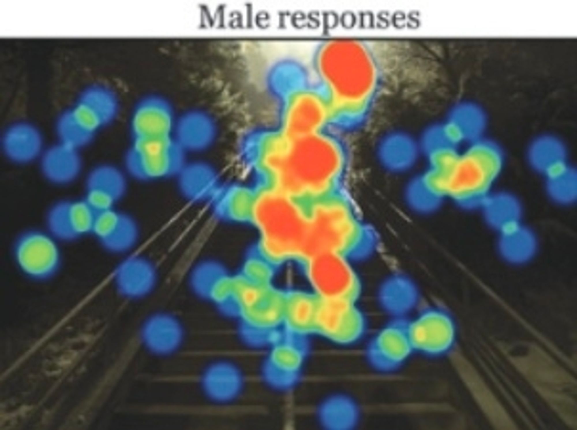 Männer bemerken laut Heatmap vor allem die Treppe und das Laternenlicht