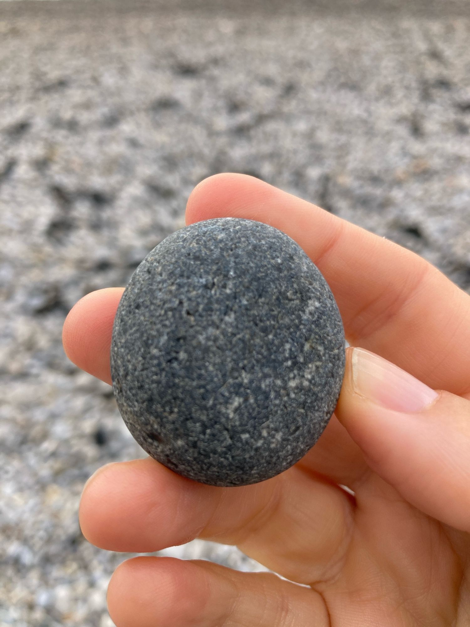 A hand holds a small, round, dark grey, flecked beach pebble. The backdrop is a blurry rocky beach.